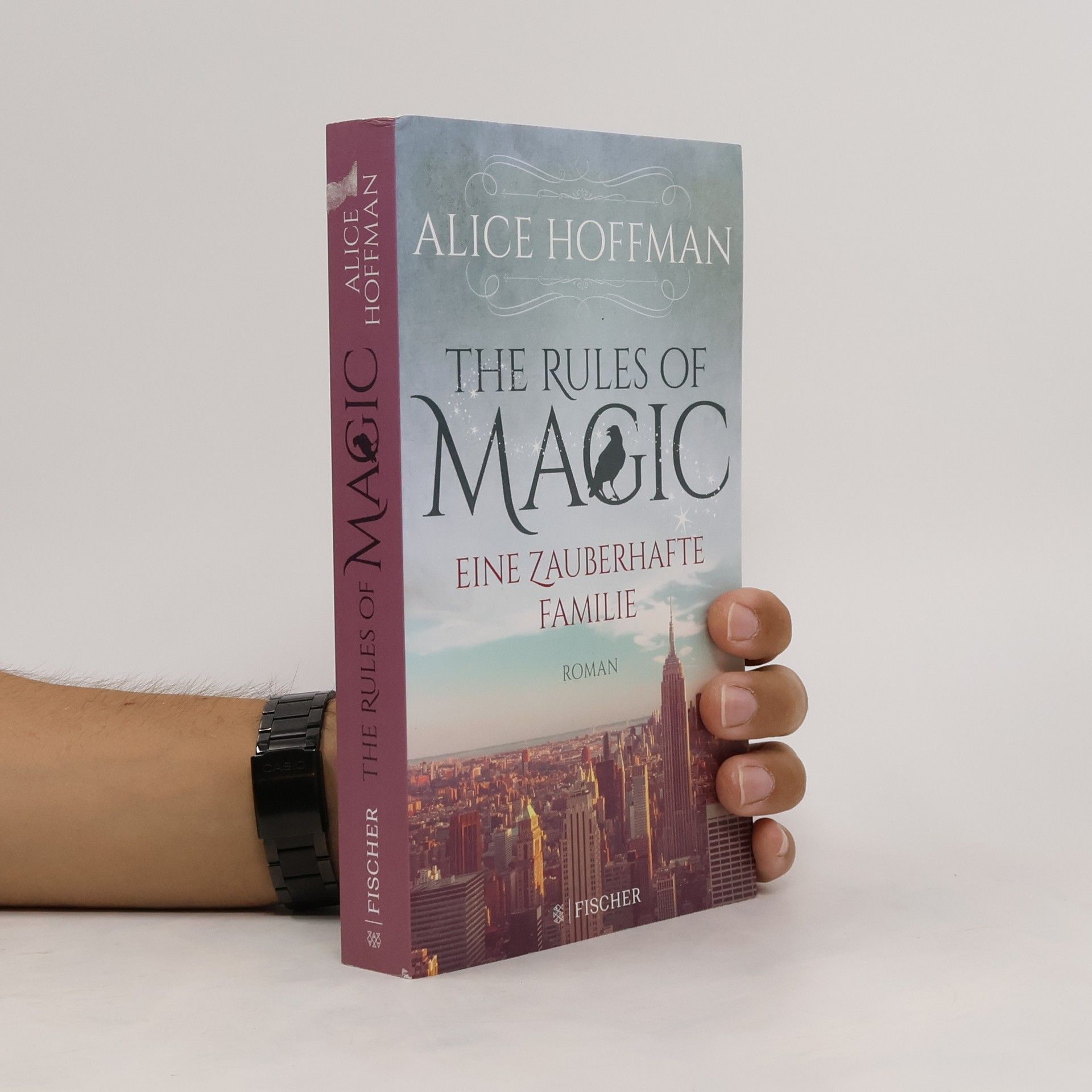 Alice Hoffman The Rules of Magic: Eine zauberhafte Familie