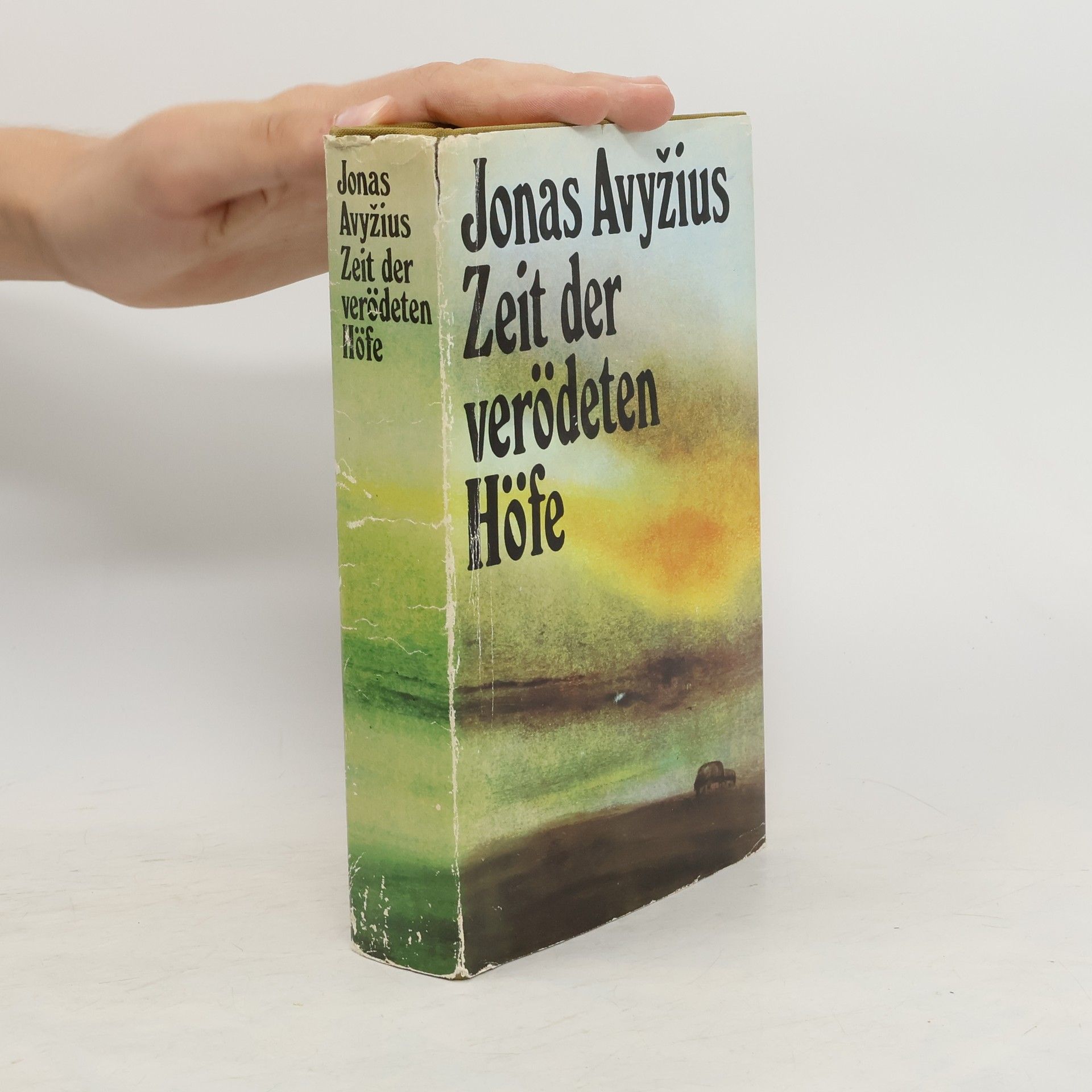 Avyžius Jonas Zeit der verödeten Höfe