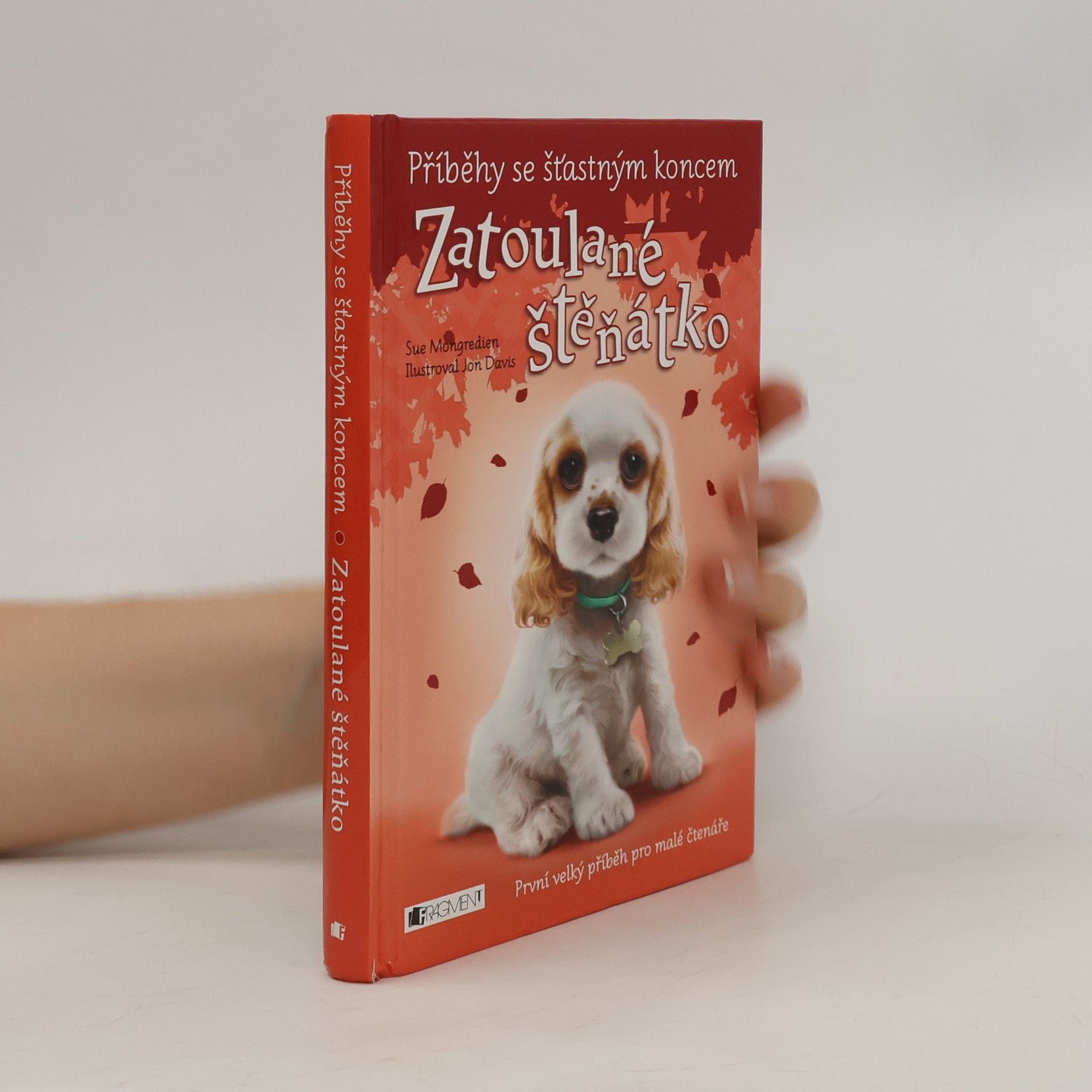 Jon Davis Zatoulané štěňátko
