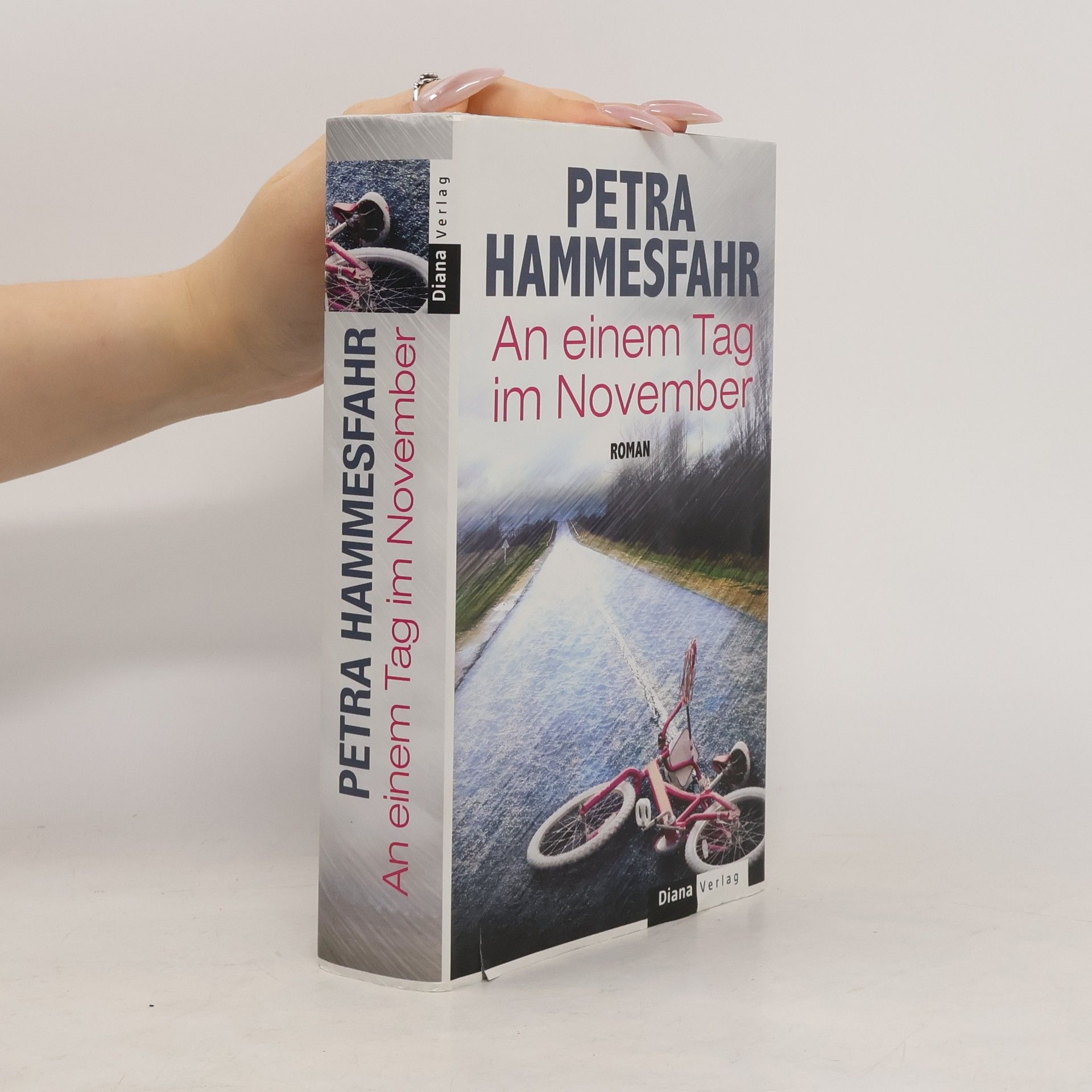 Petra Hammesfahr An einem Tag im November