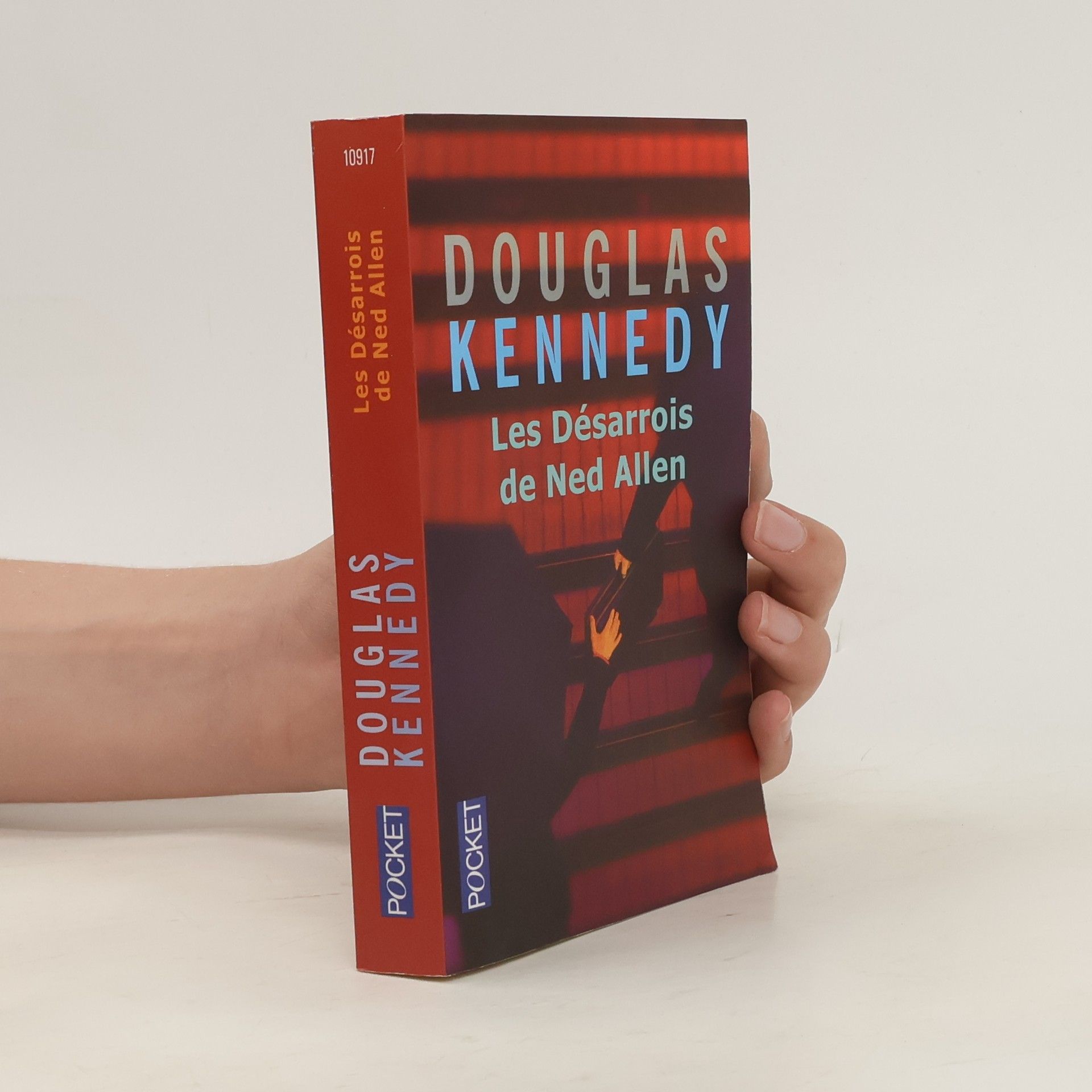 Douglas Kennedy Les Désarrois de Ned Allen
