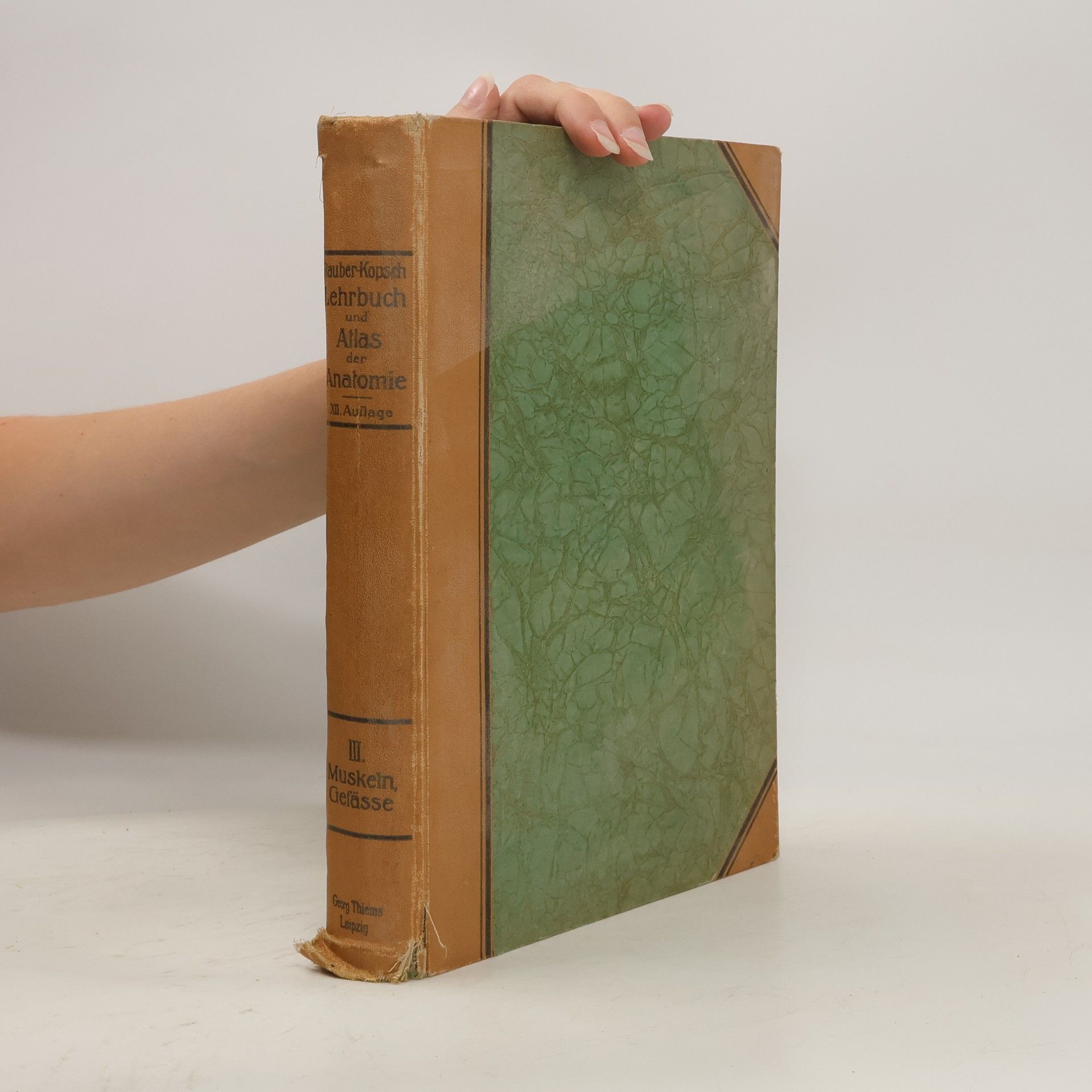 Fr. Kopsch Lehrbuch und Atlas der Anatomie des Menschen. Abteilung 3