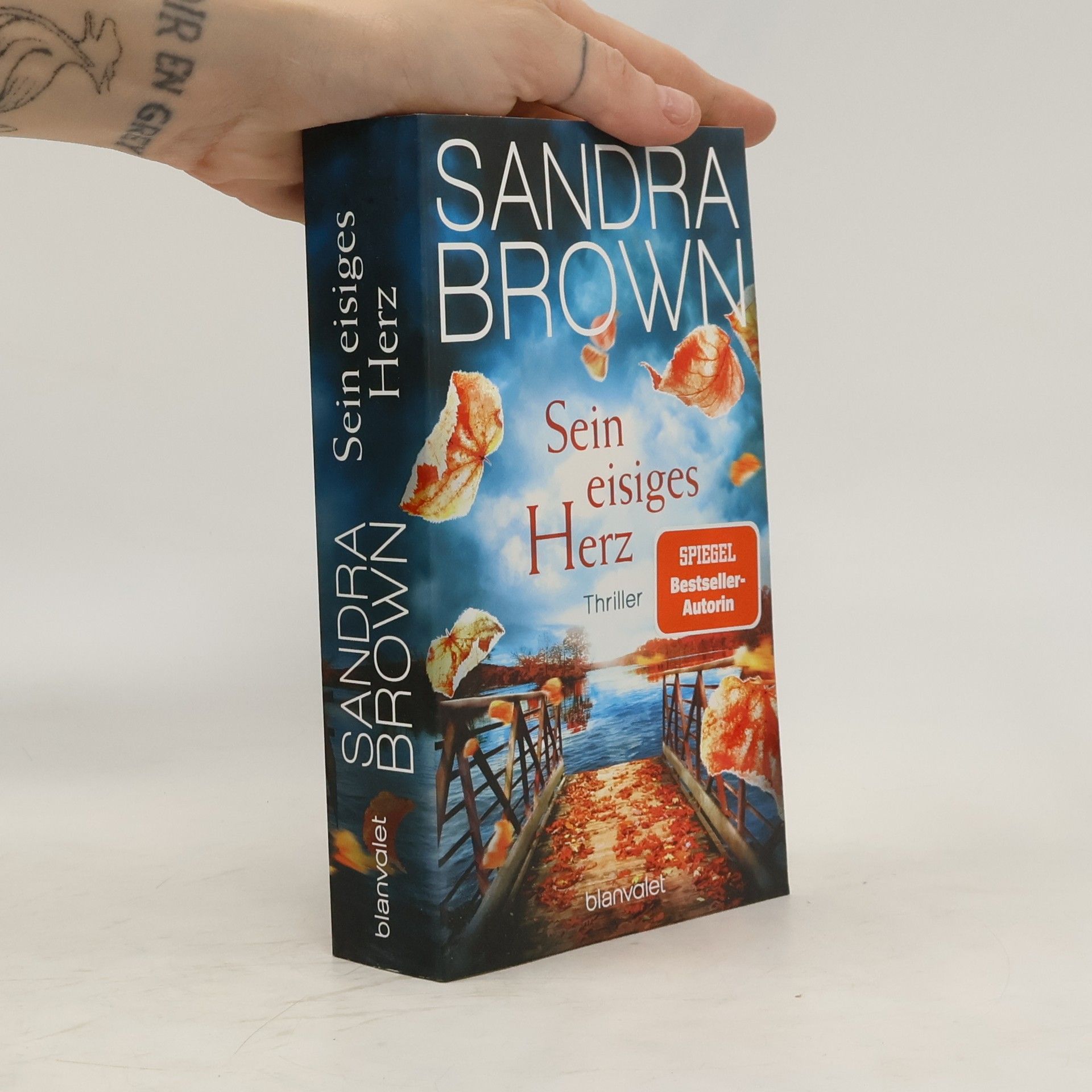 Sandra Brown Sein eisiges Herz