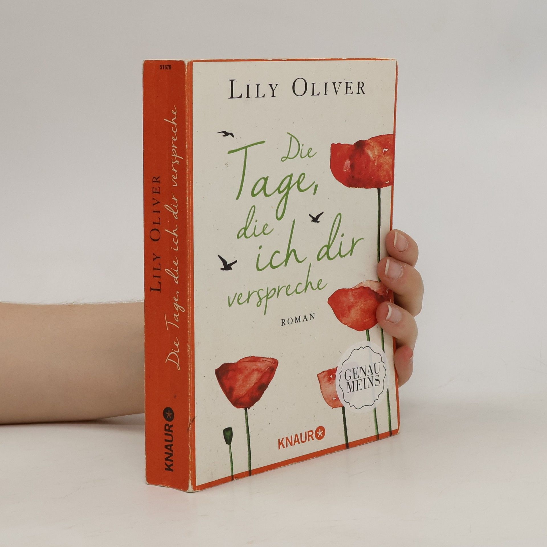 Lily Oliver Die Tage, die ich dir verspreche