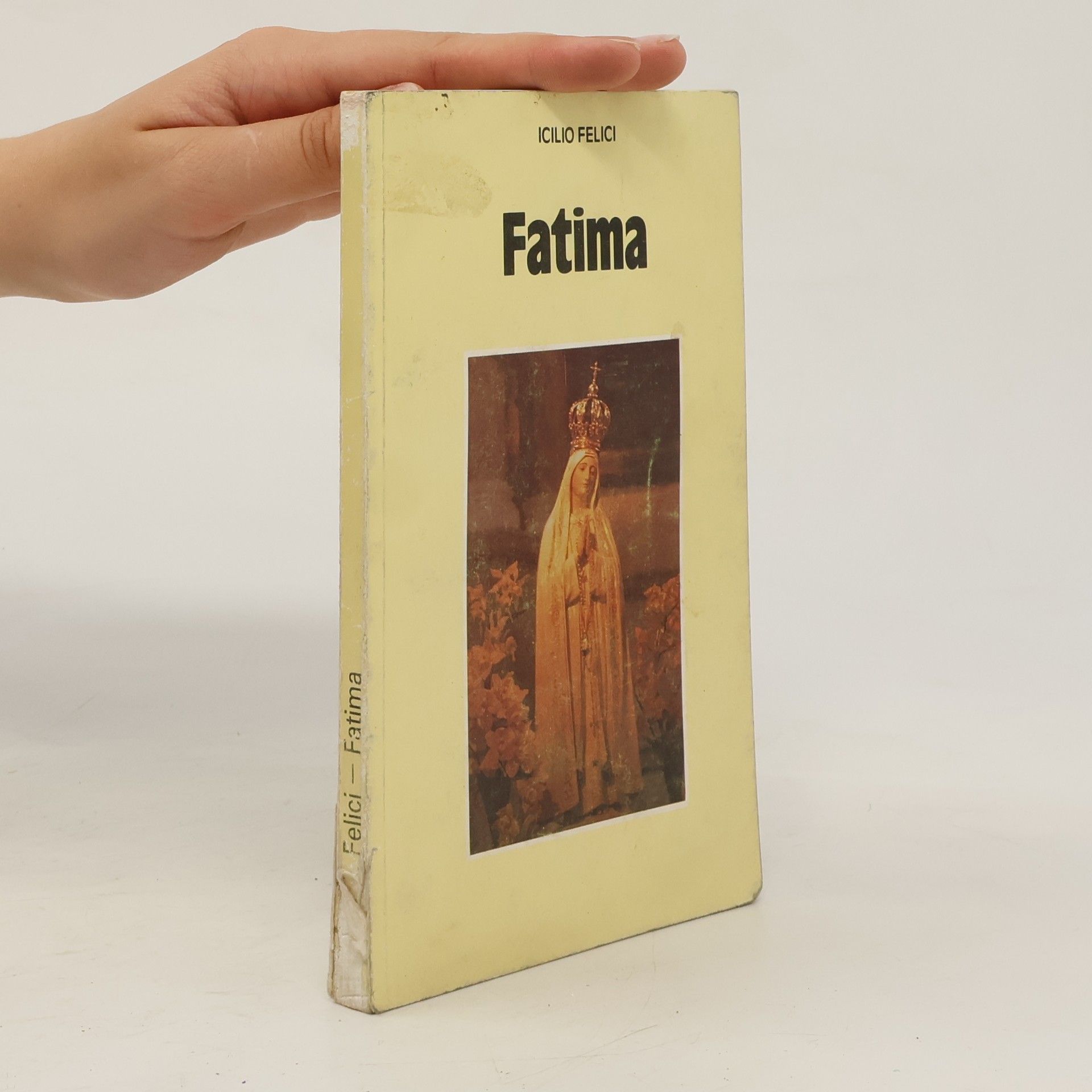 Icilio Felici Fatima