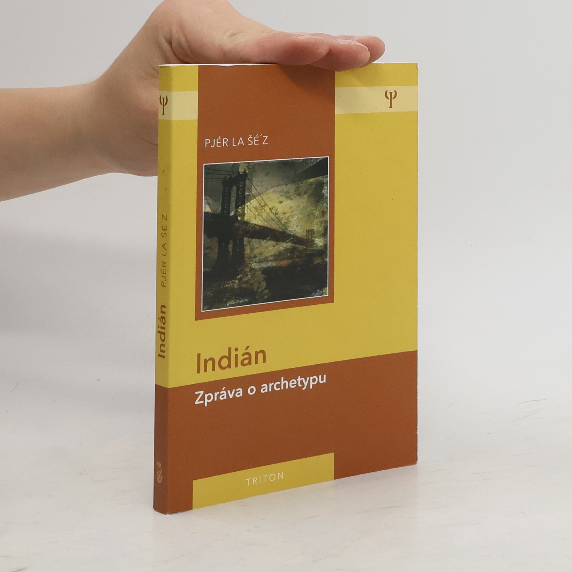 Pjér la Šéz Indián: Zpráva o archetypu