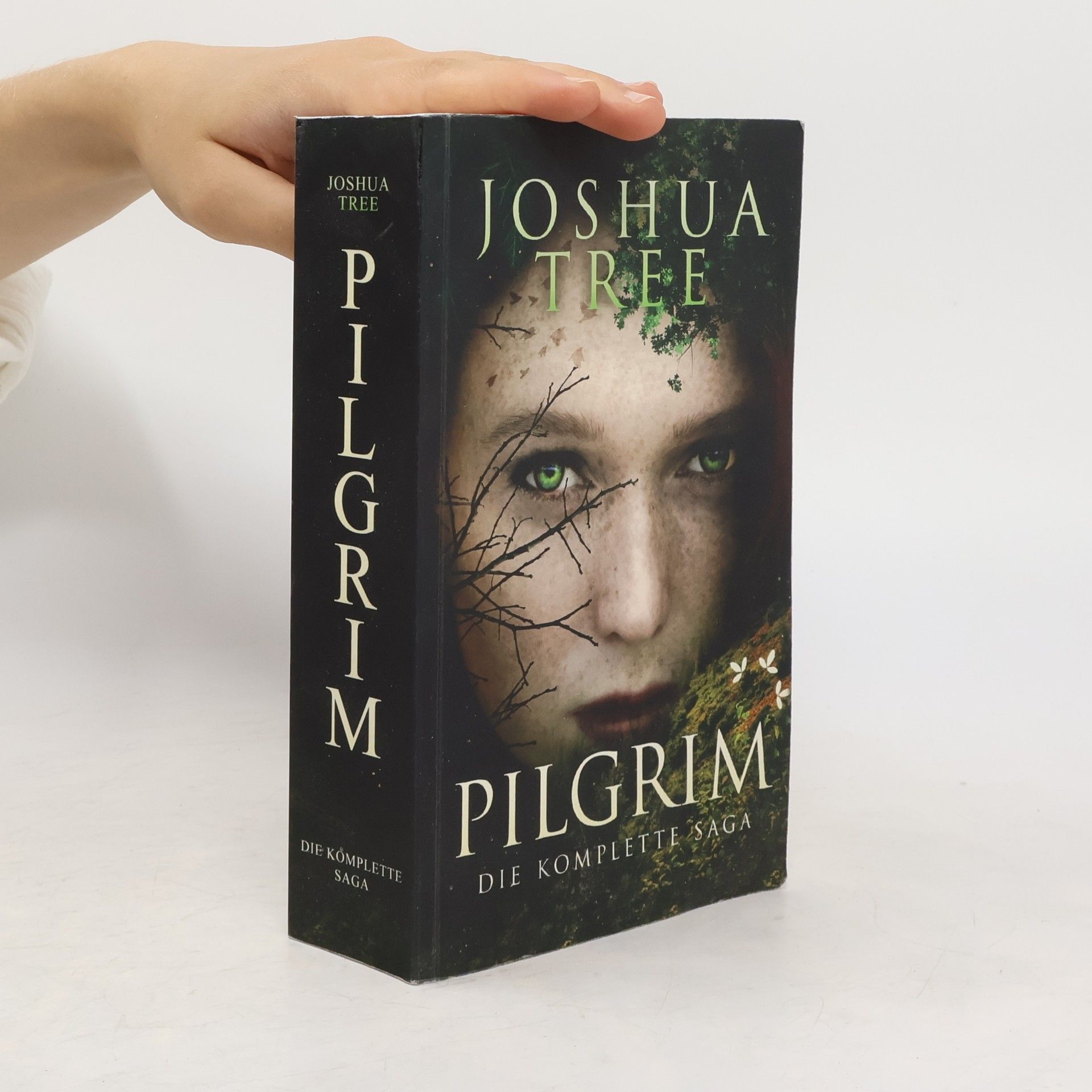 Joshua Tree Pilgrim