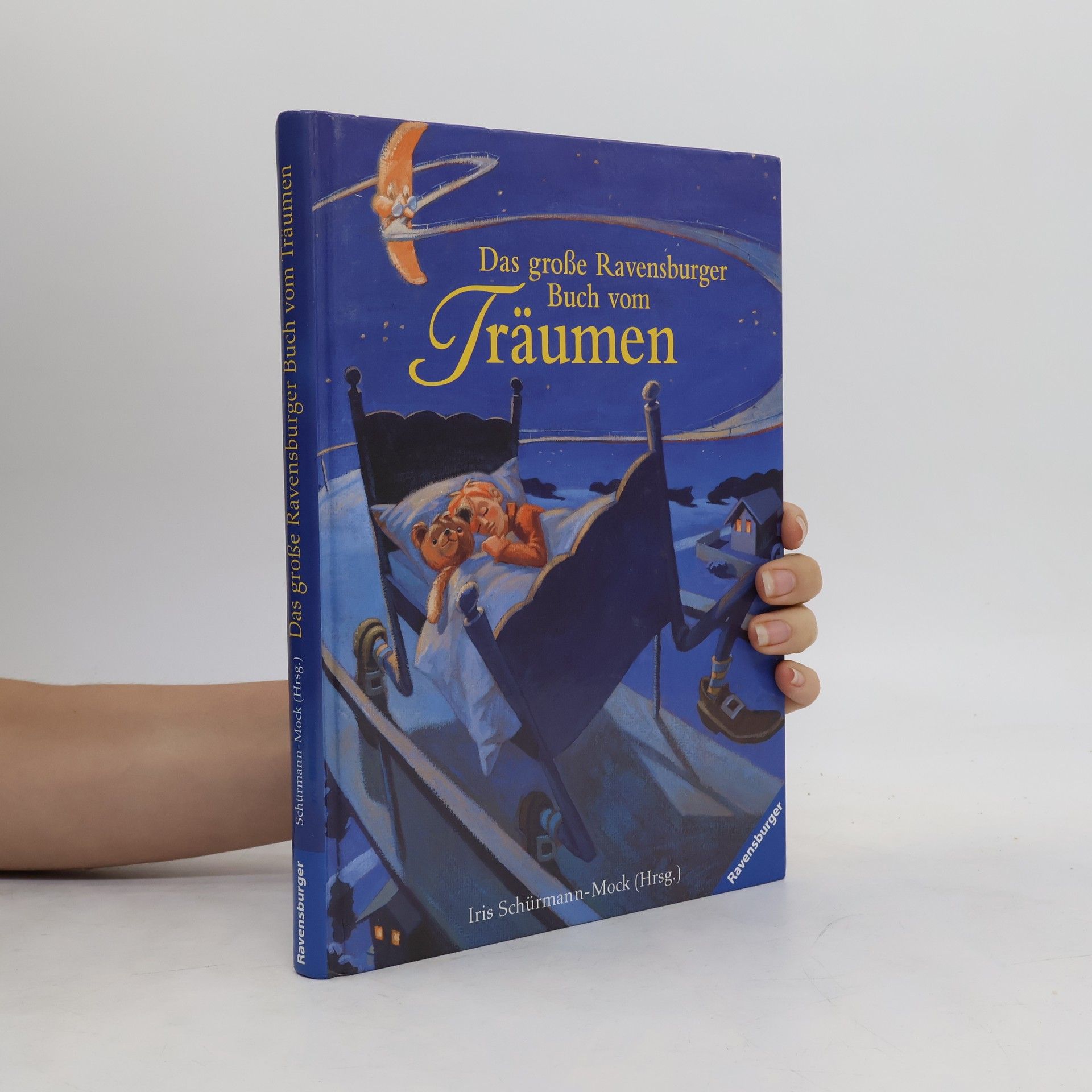 Iris Schürmann-Mock Das große Ravensburger Buch vom Träumen