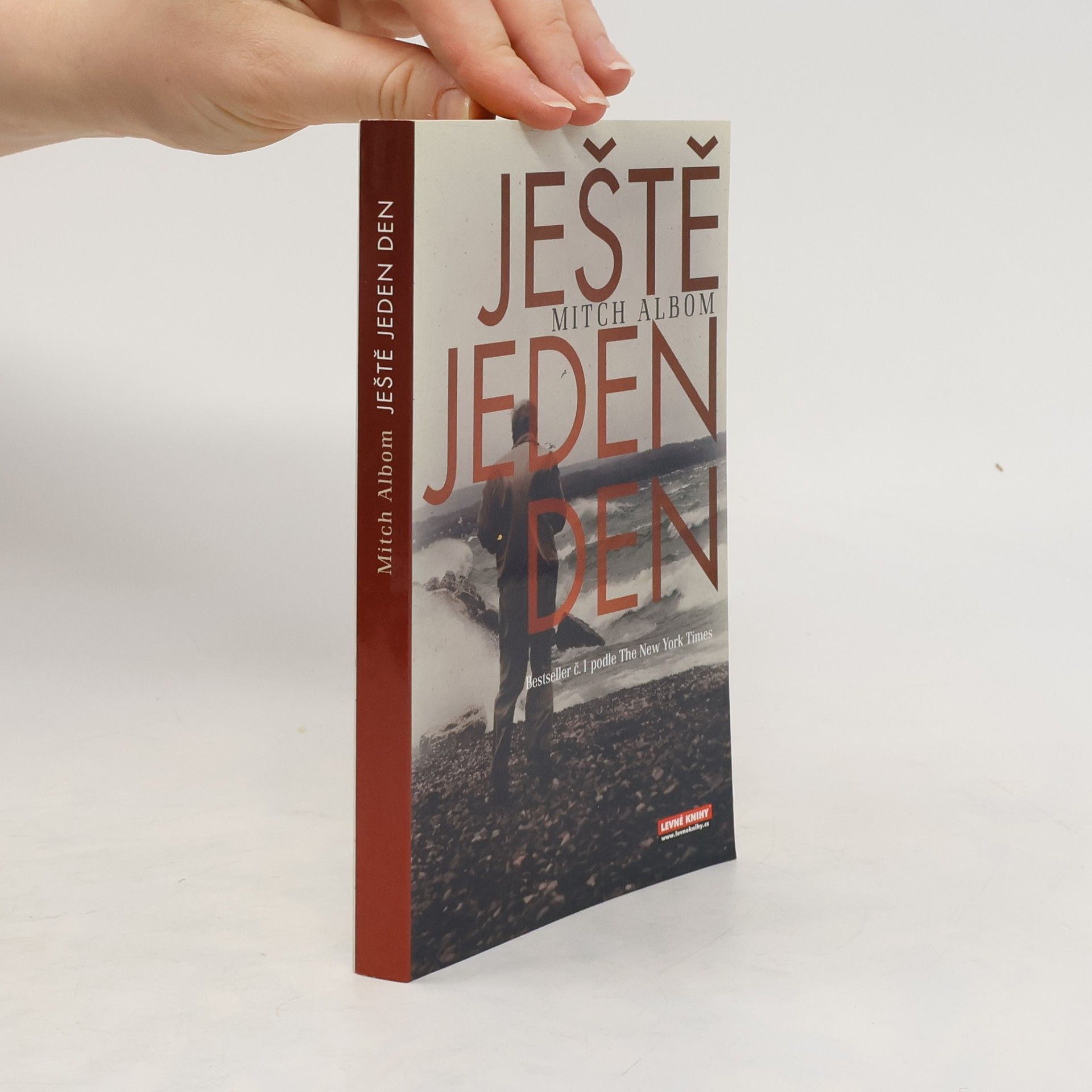 Mitch Albom Ještě jeden den