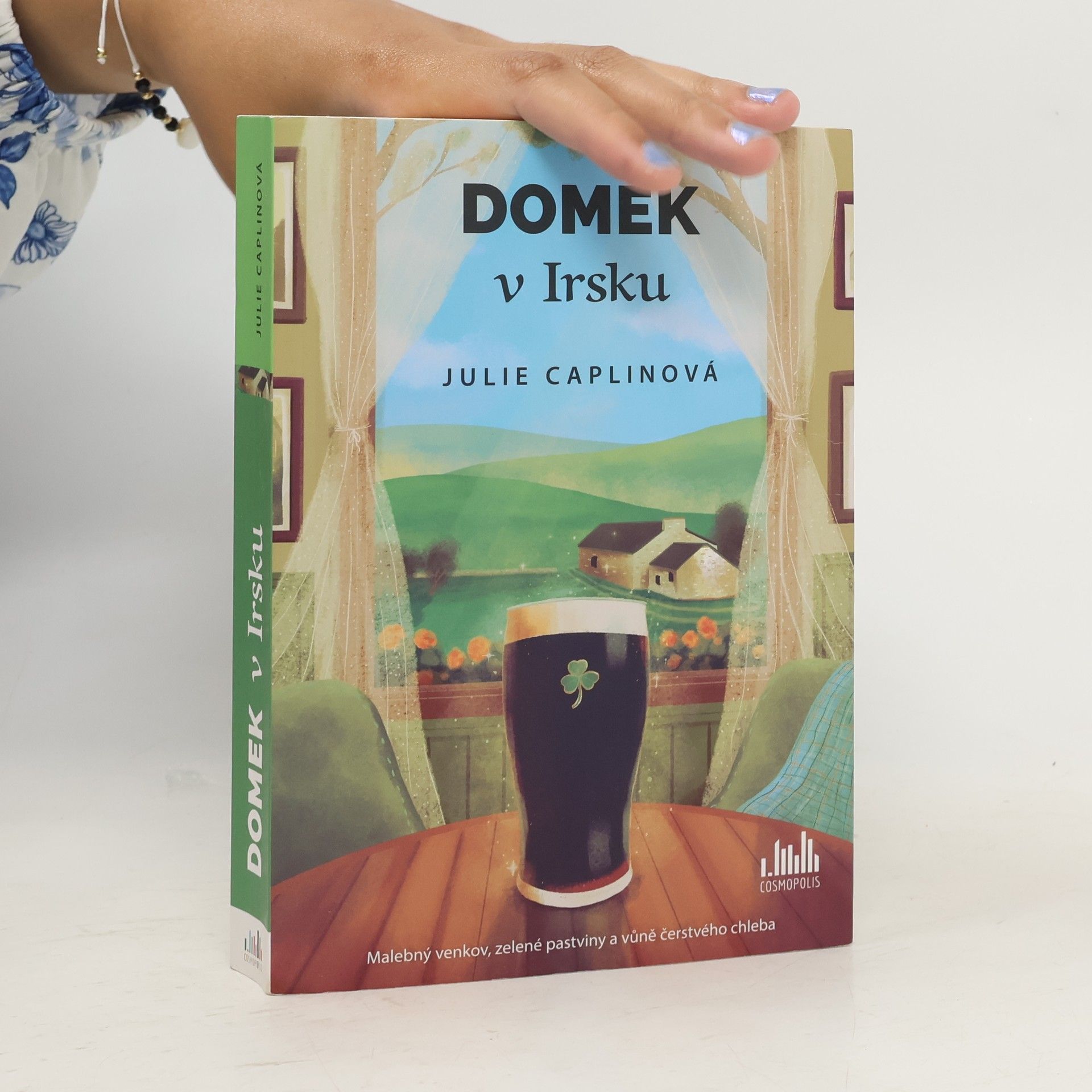 Julie Caplin Domek v Irsku