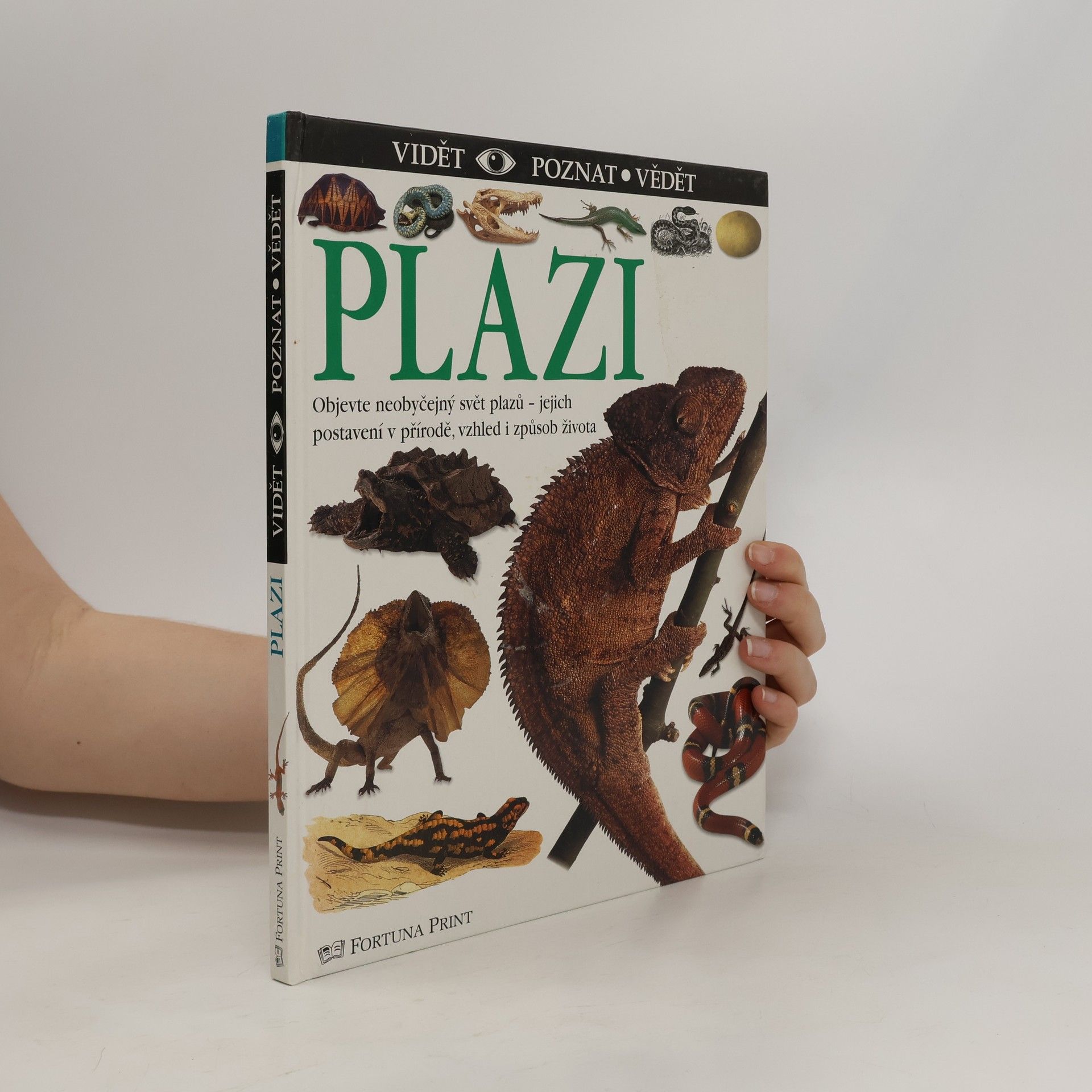 Colin McCarthy Plazi