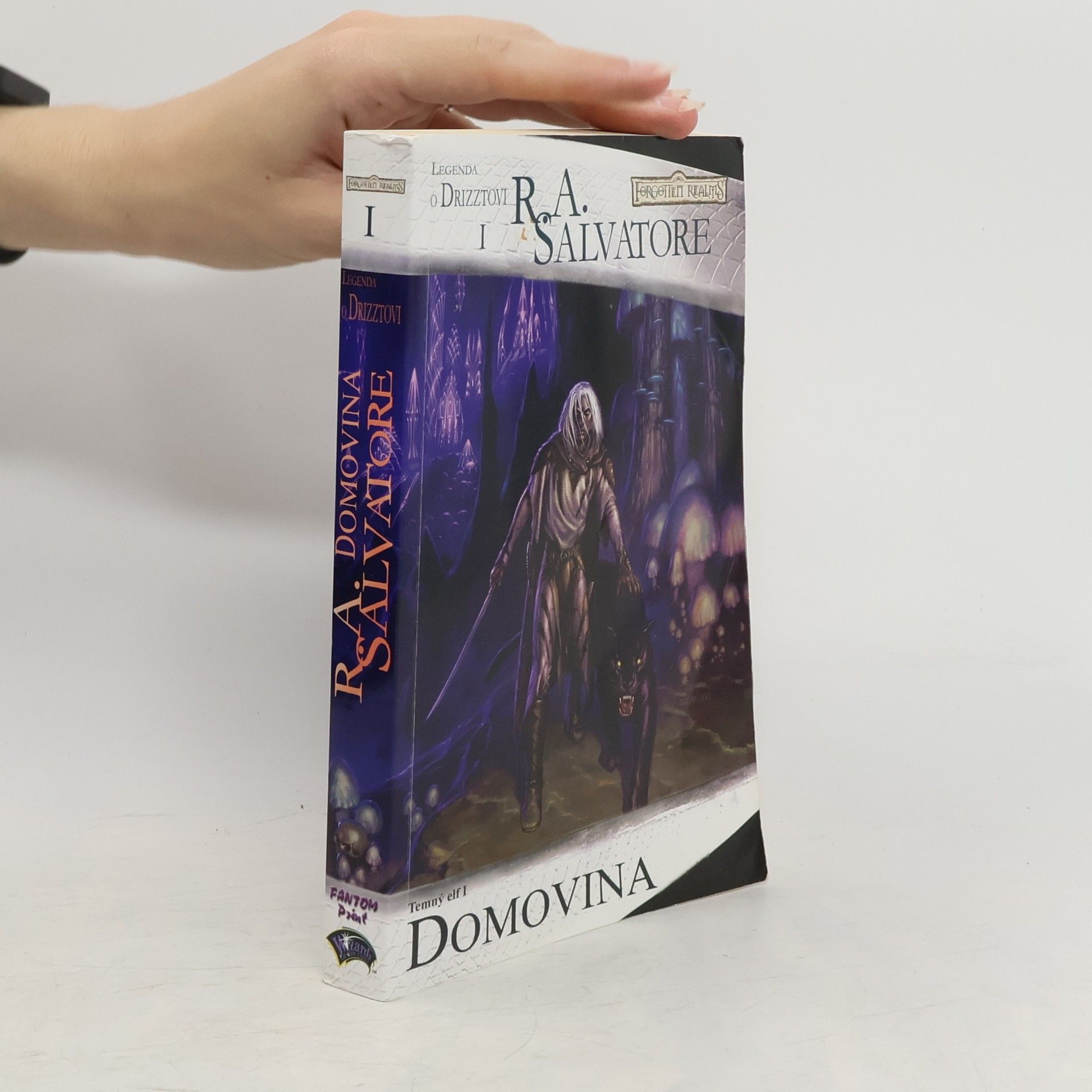 R. A. Salvatore Temný elf. I, Domovina