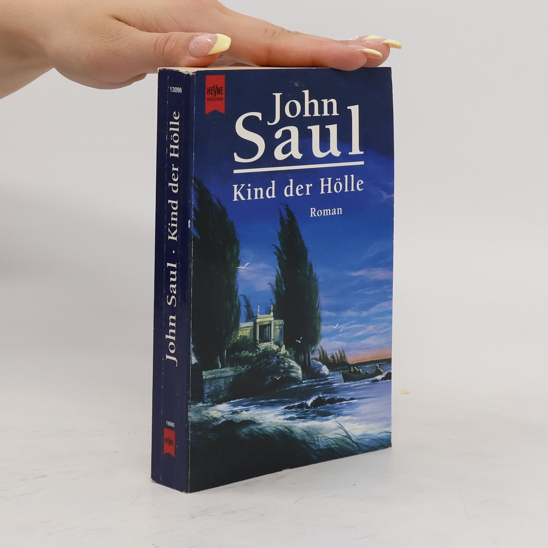 John Saul Kind der Hölle