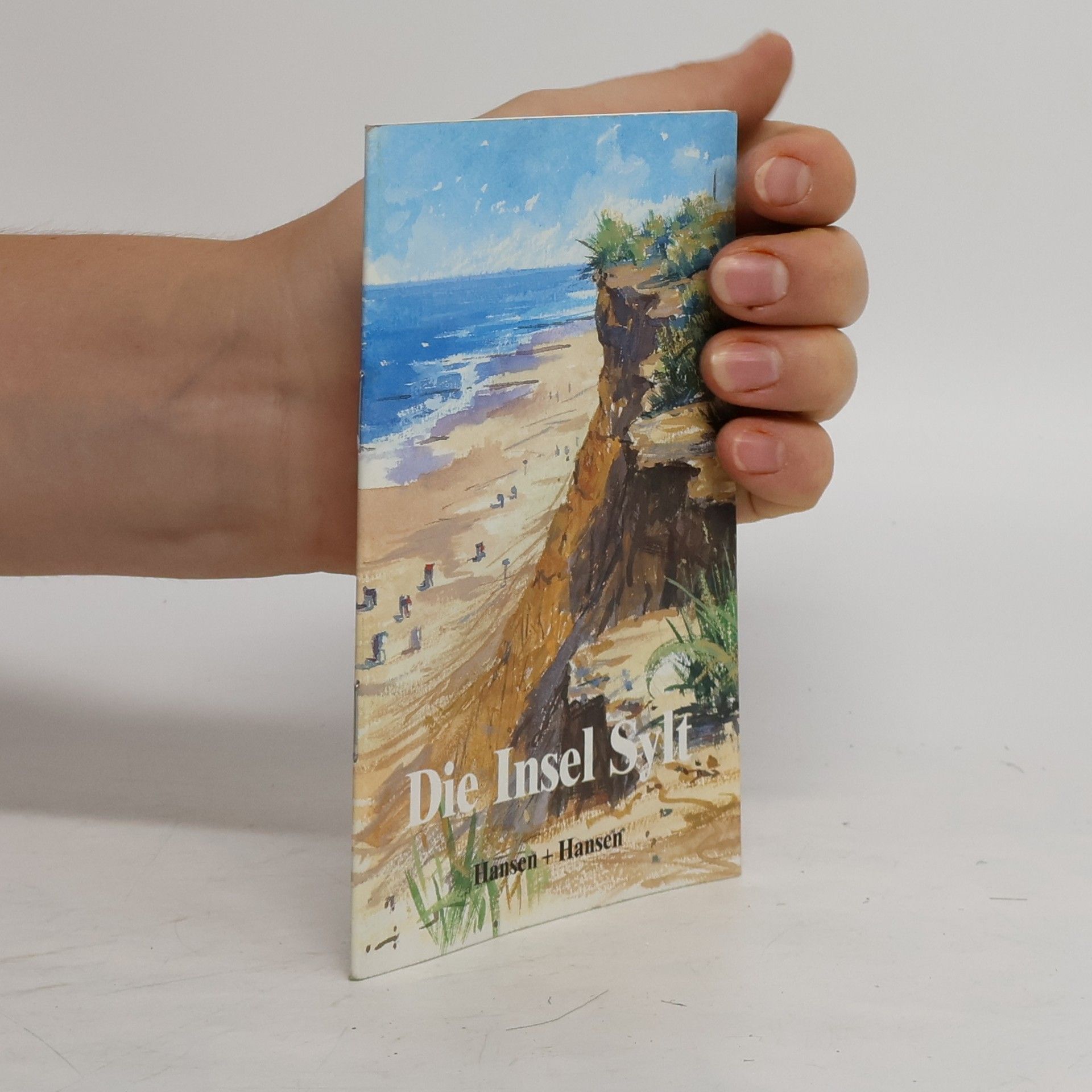 Rainer Naudiet Die Insel Sylt
