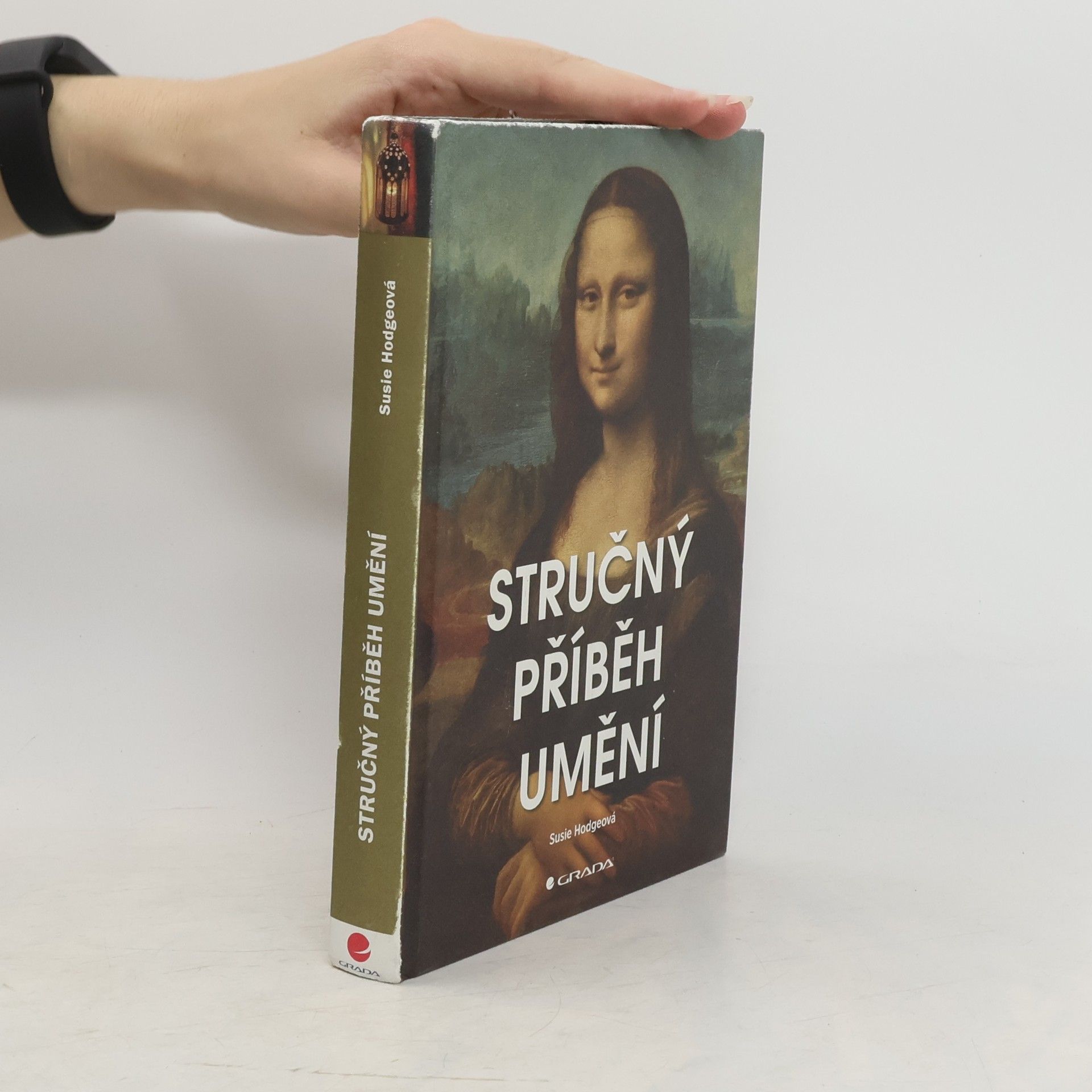 Susie Hodge Stručný příběh umění