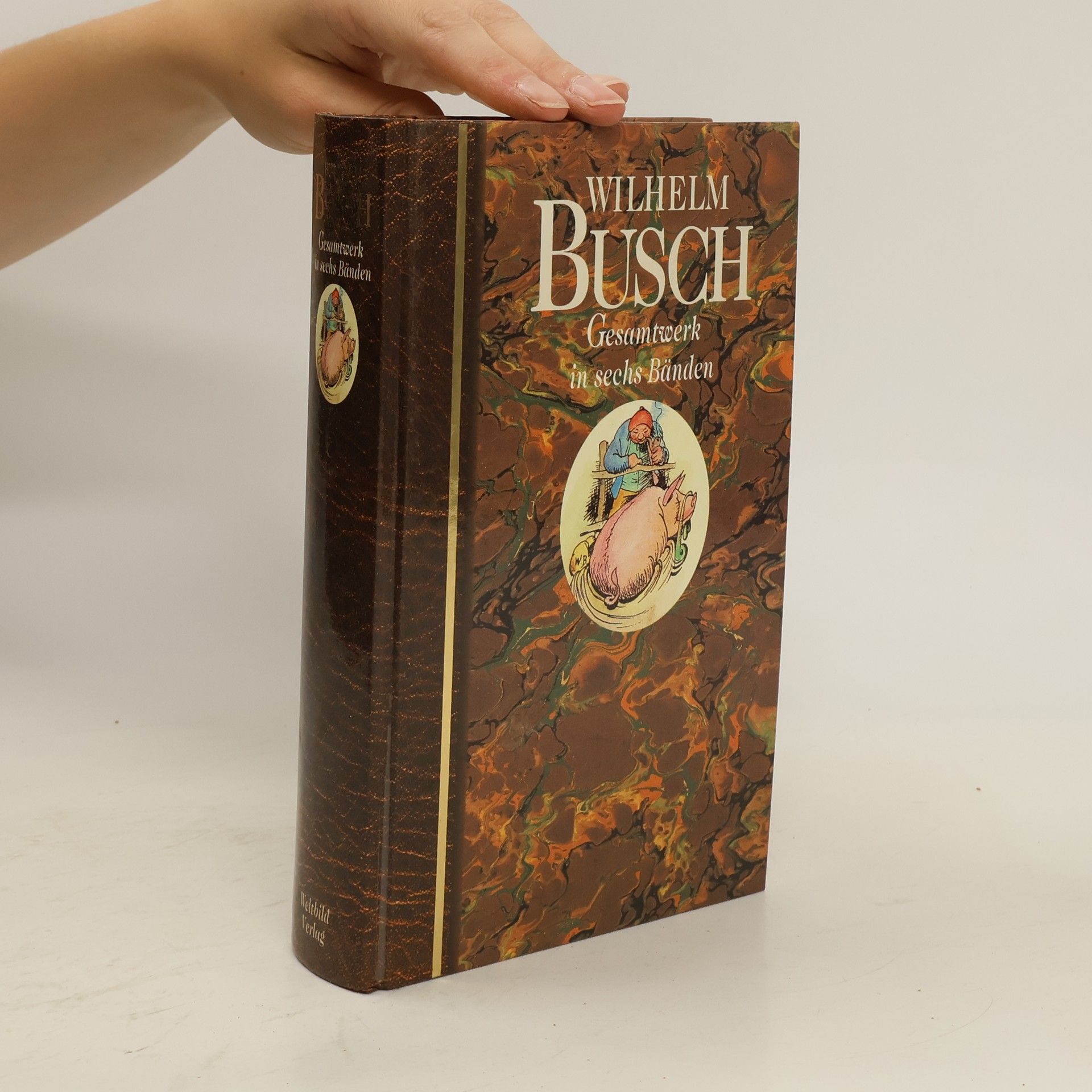 Wilhelm Busch Gesamtwerk in sechs Bänden 6