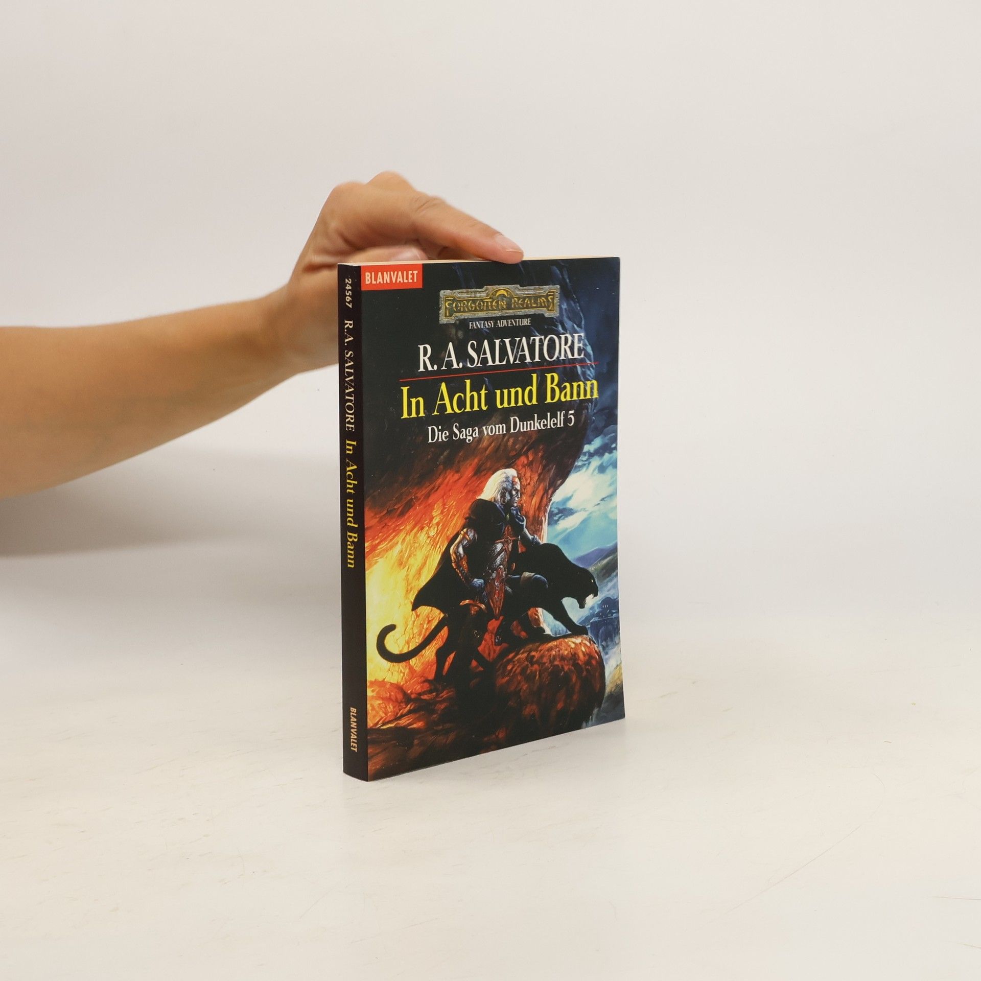 R. A. Salvatore In Acht und Bann. Die Saga vom Dunkelelf
