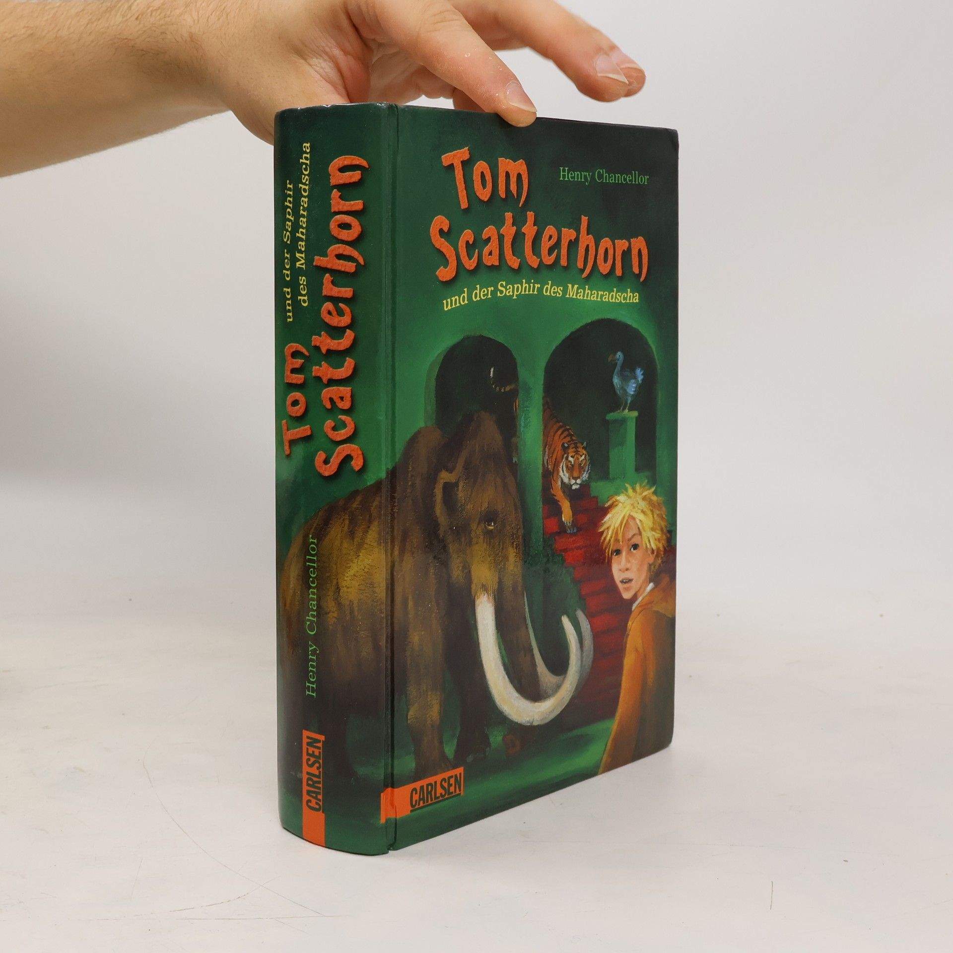 Henry Chancellor Tom Scatterhorn und der Saphir des Maharadscha