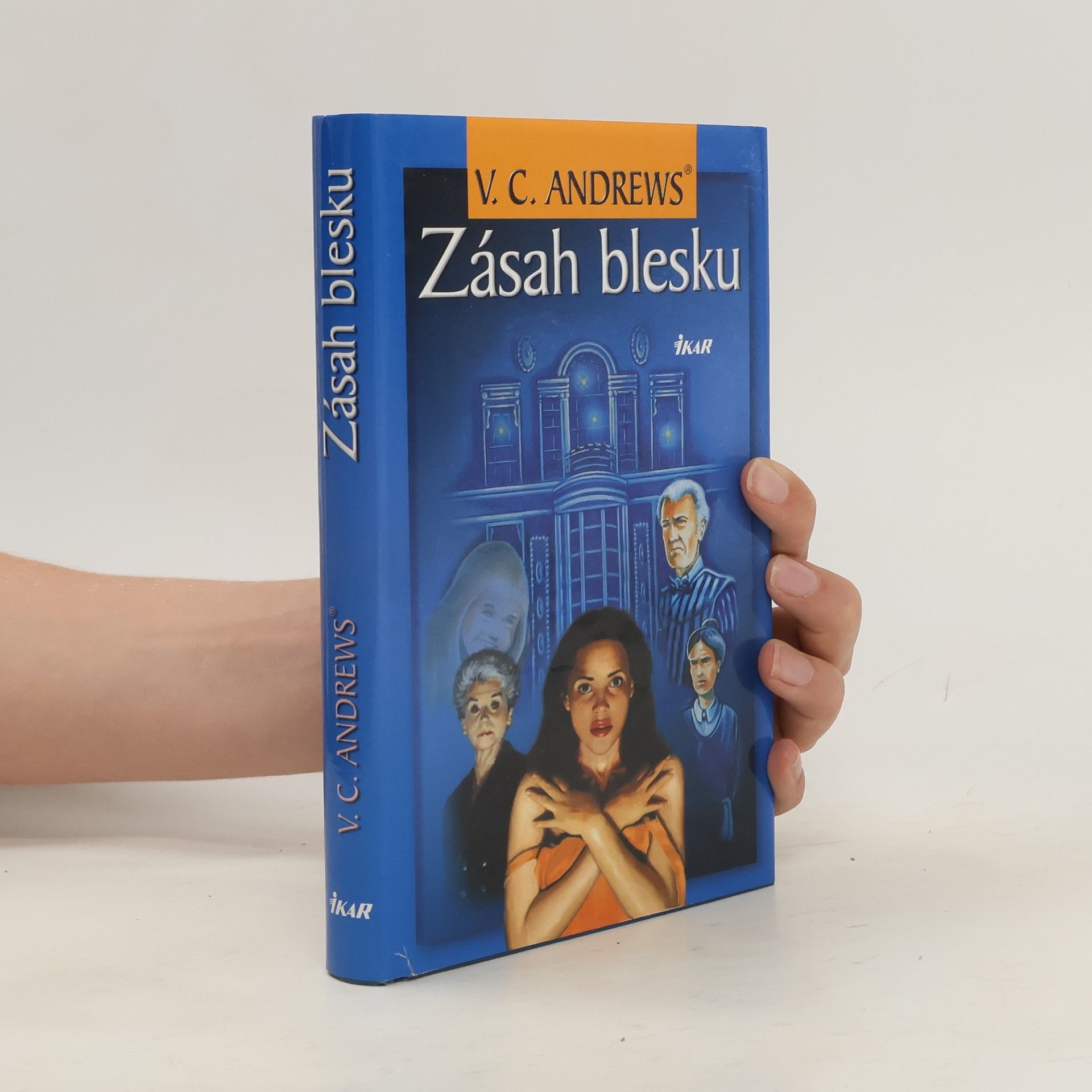 V. C. Andrews Zásah blesku