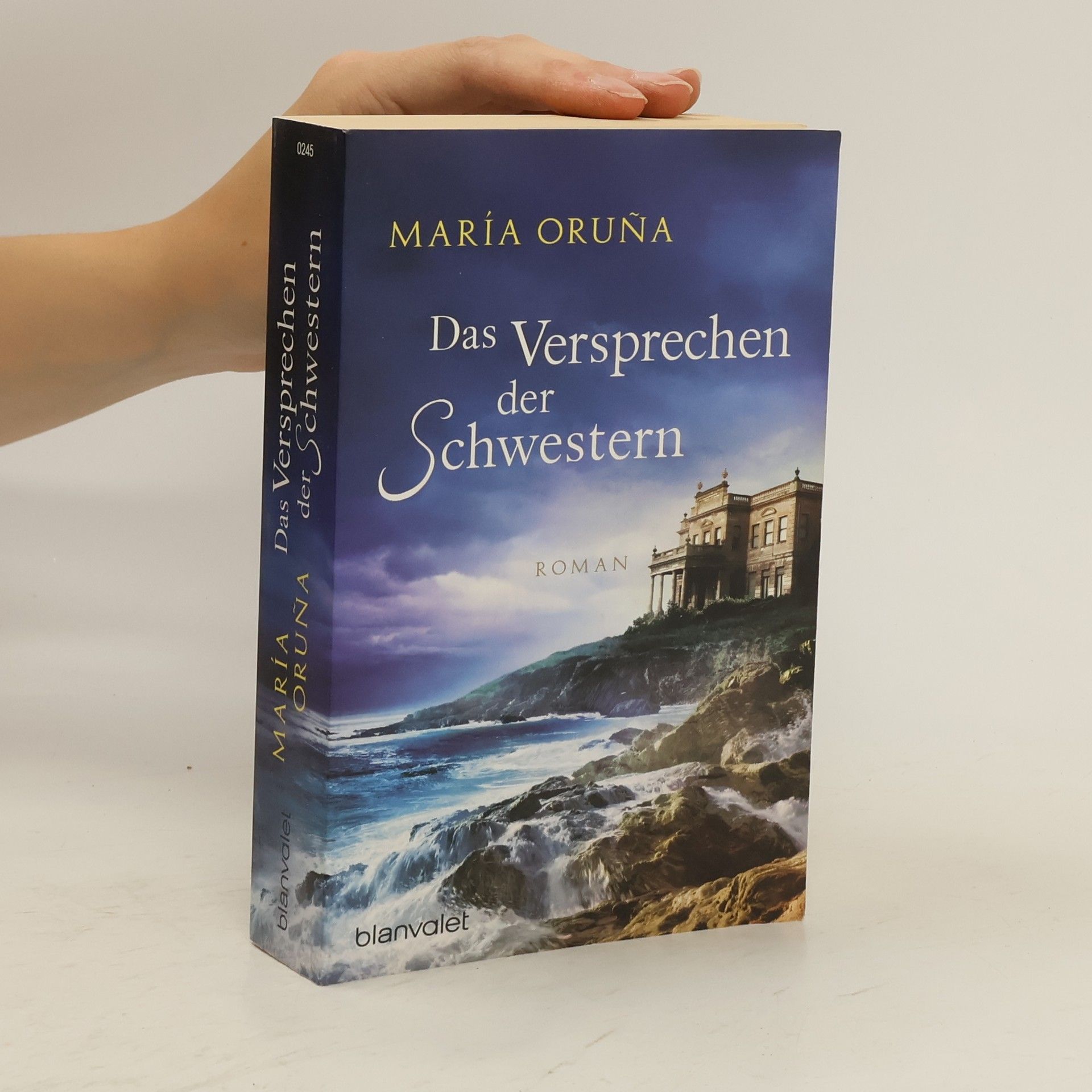 María Oruña Das Versprechen der Schwestern