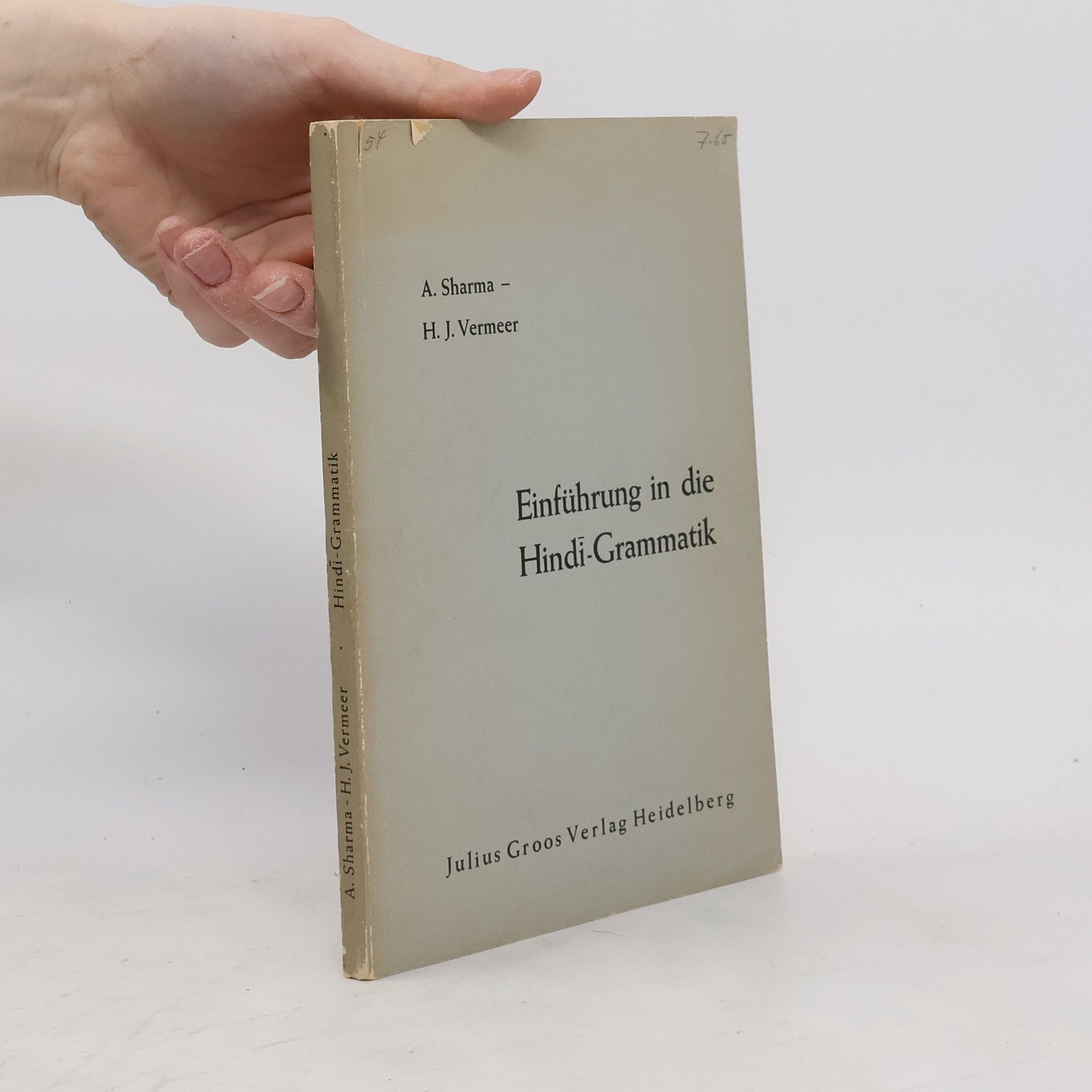 Hans Vermeer Einführung in die Hindi-Grammatik