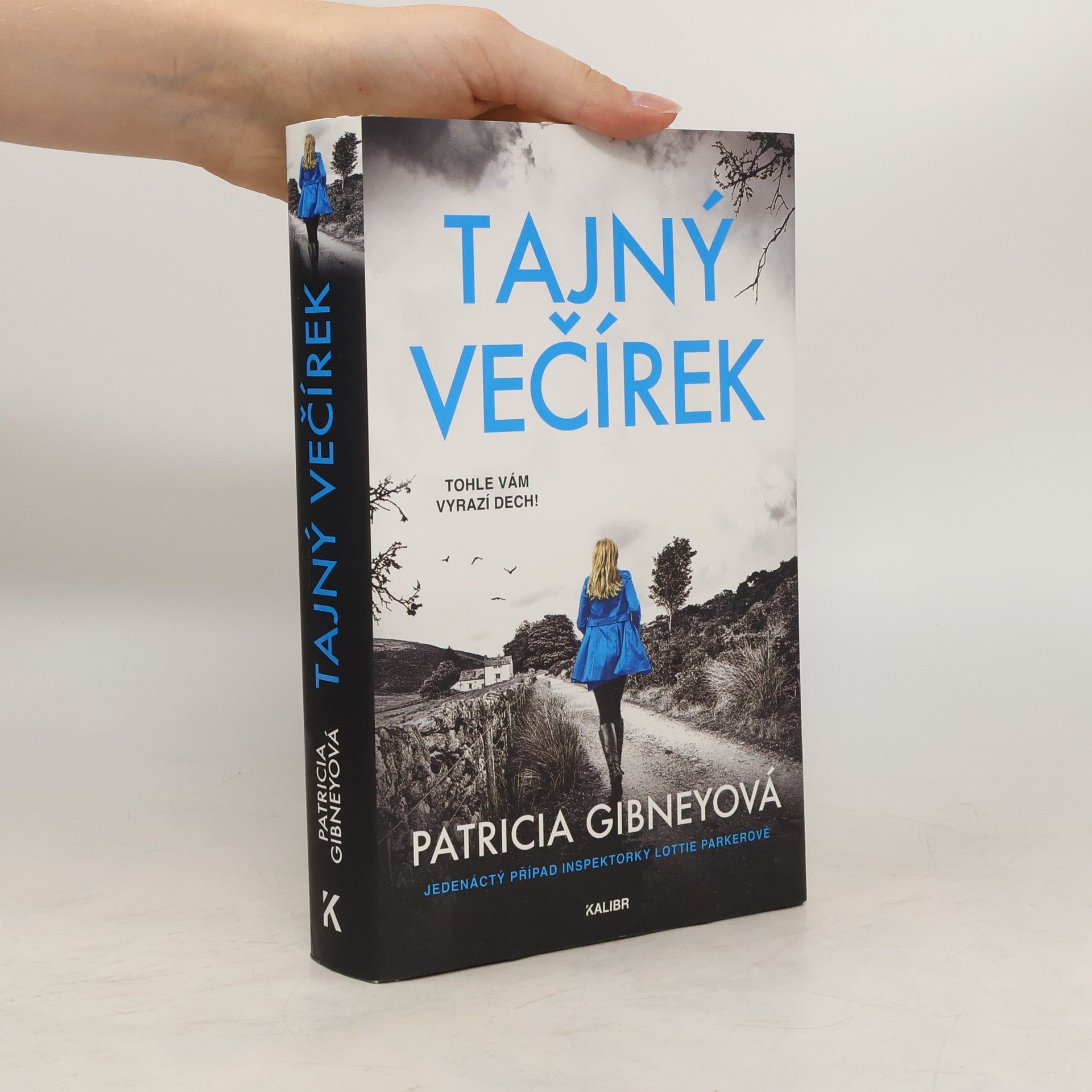 Patricia Gibney Tajný večírek
