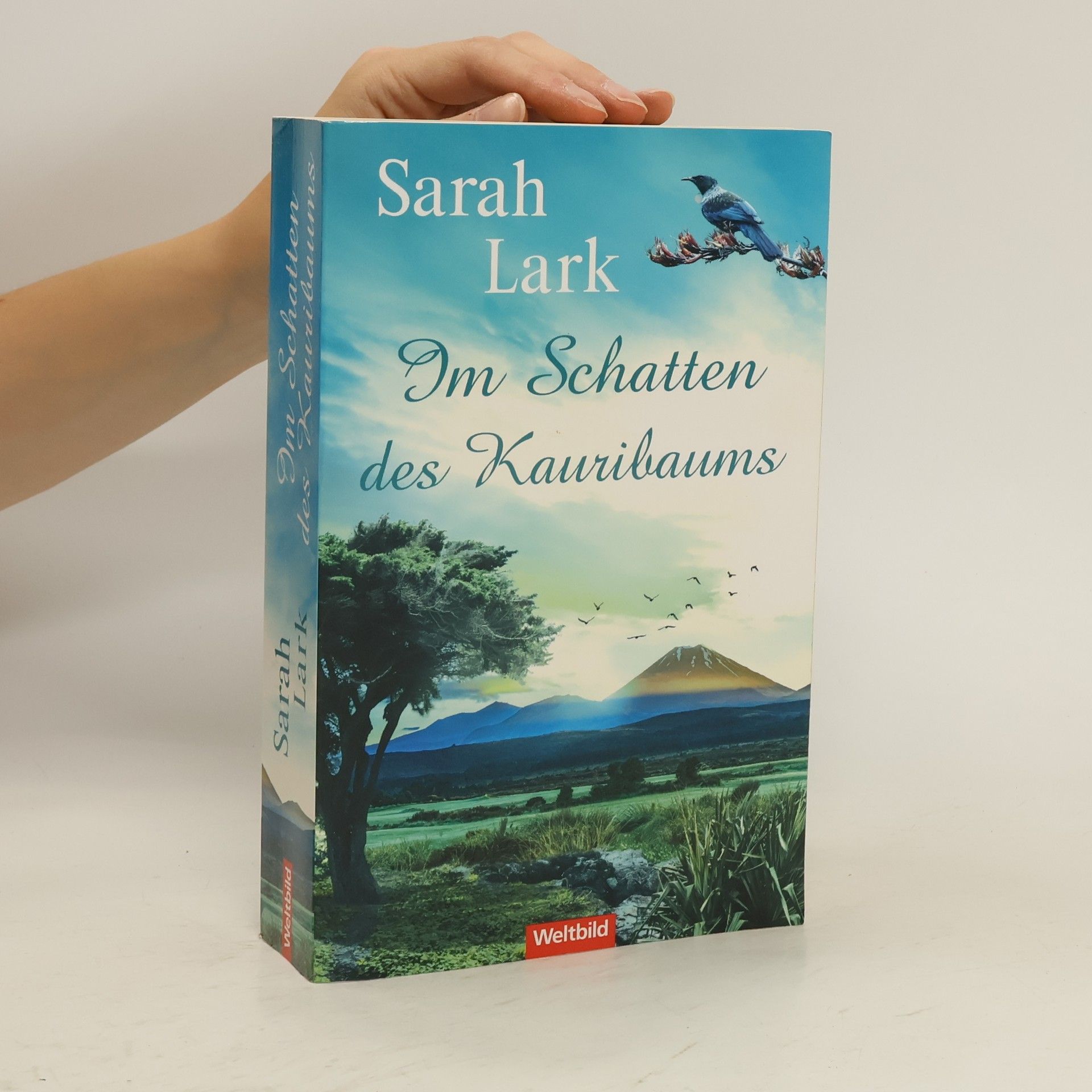 Christiane Gohl Im Schatten des Kauribaums