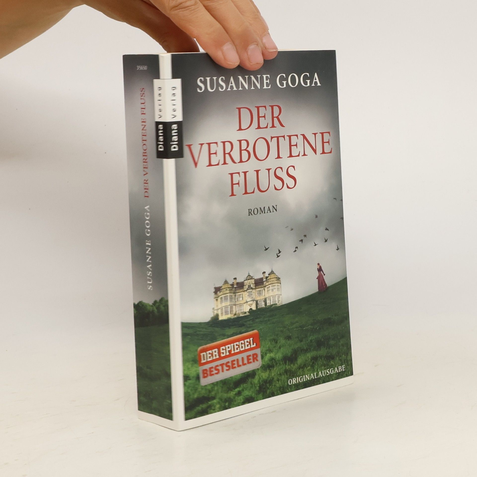 Susanne Goga Der verbotene Fluss