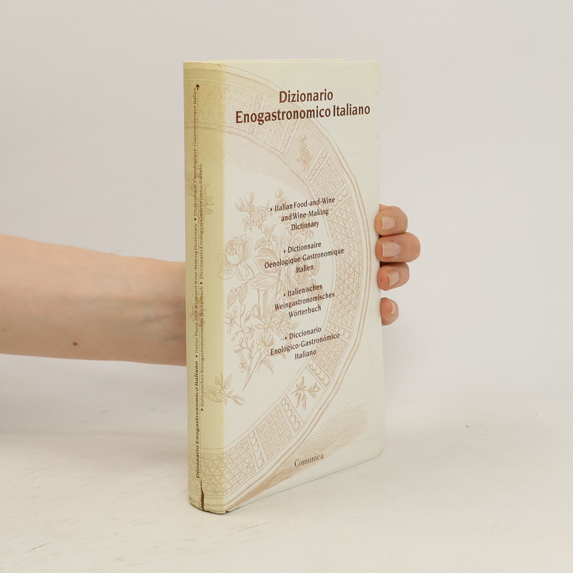 Paolo Massobrio Dizionario enogastronomico italiano