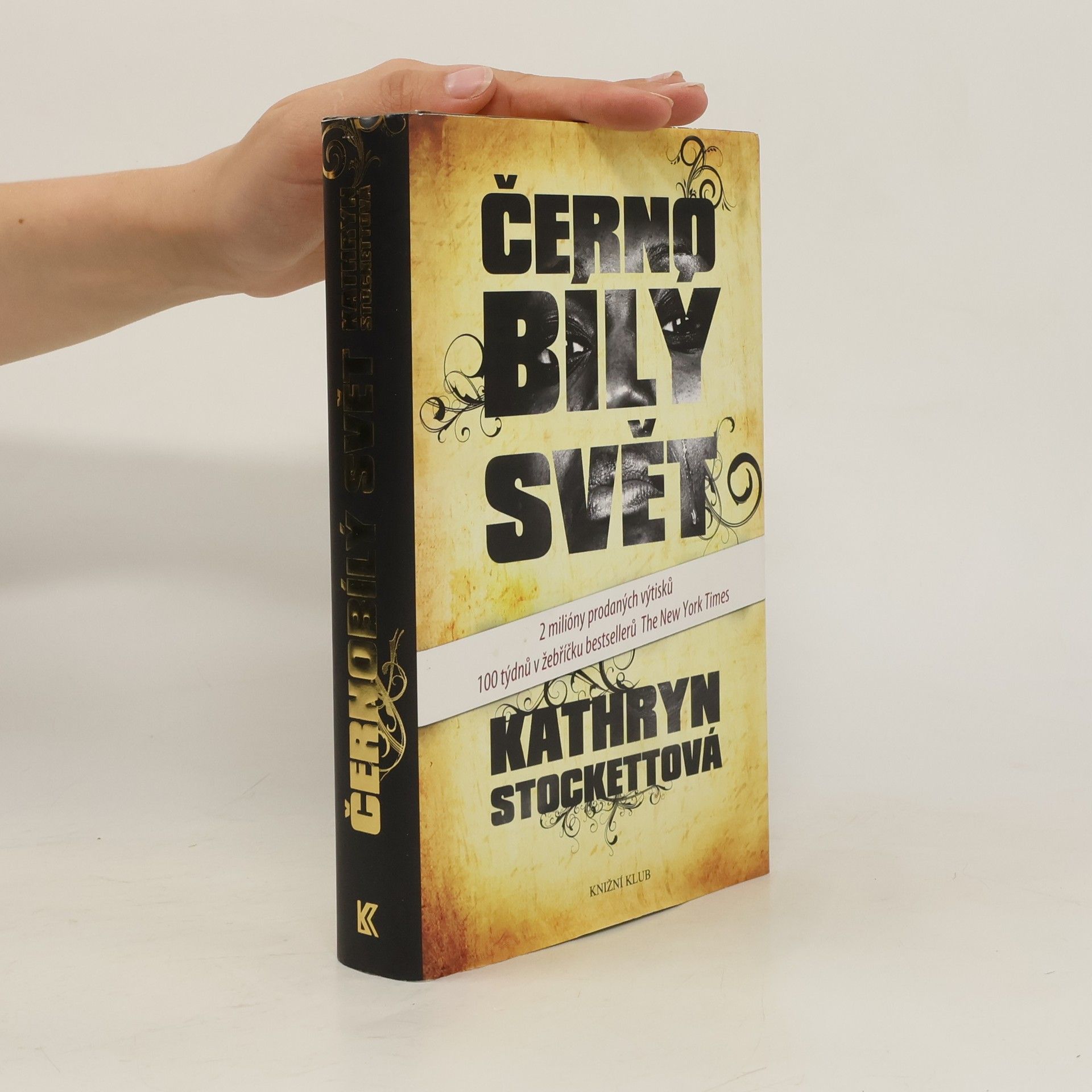 Kathryn Stockett Černobílý svět