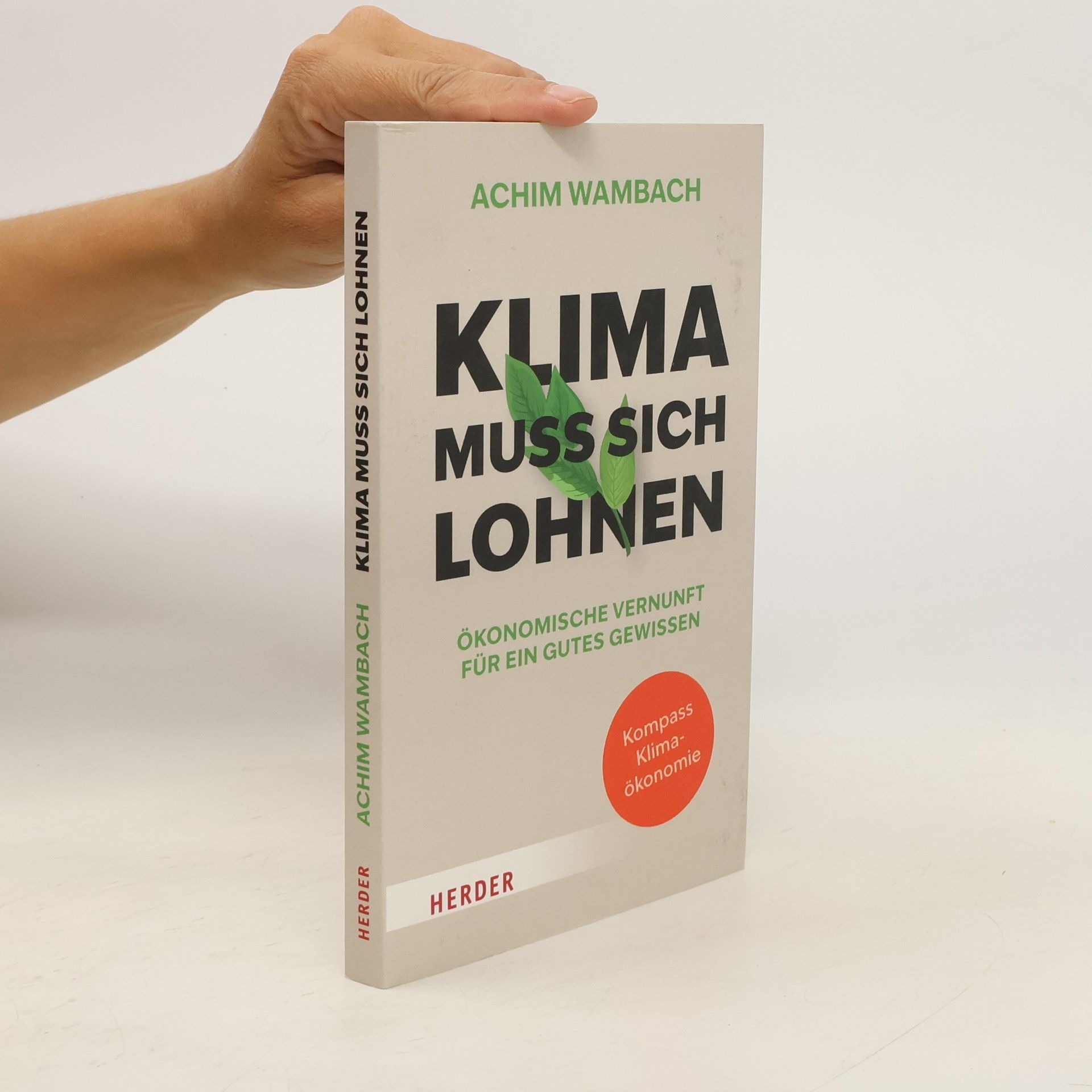 Achim Wambach Klima muss sich lohnen