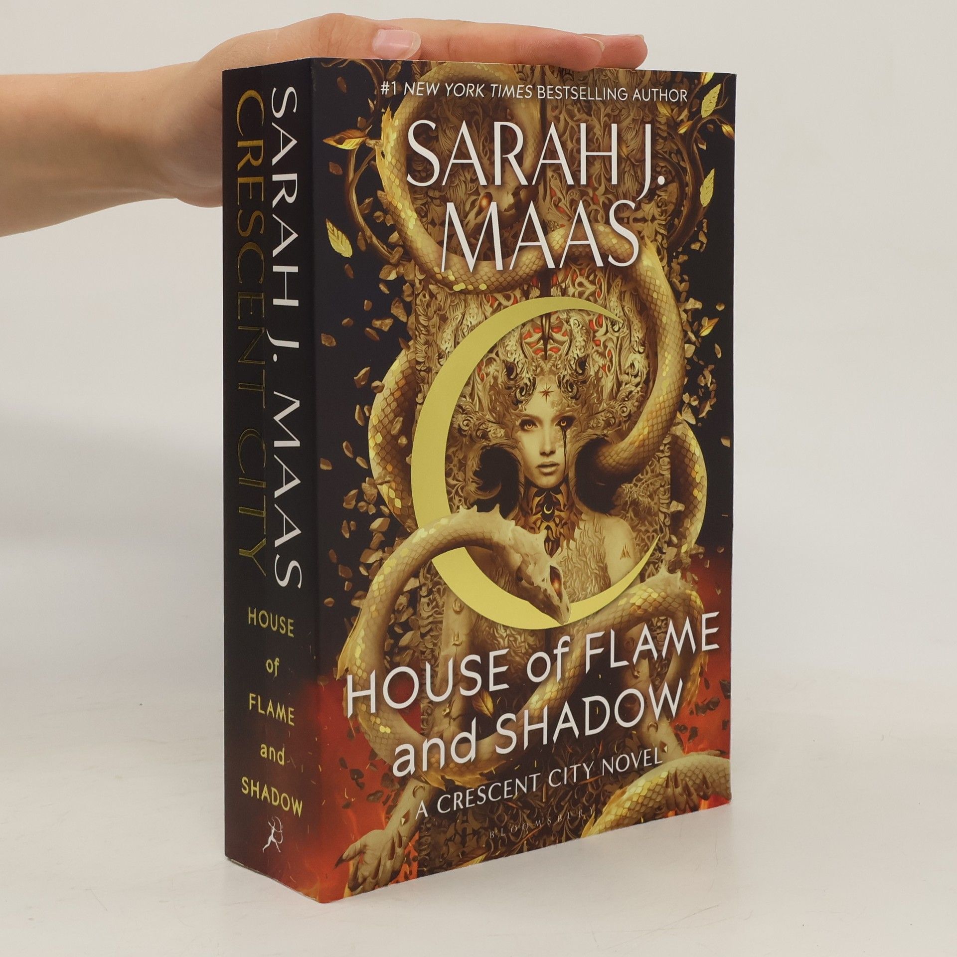 Sarah J. Maas House of Flame and Shadow