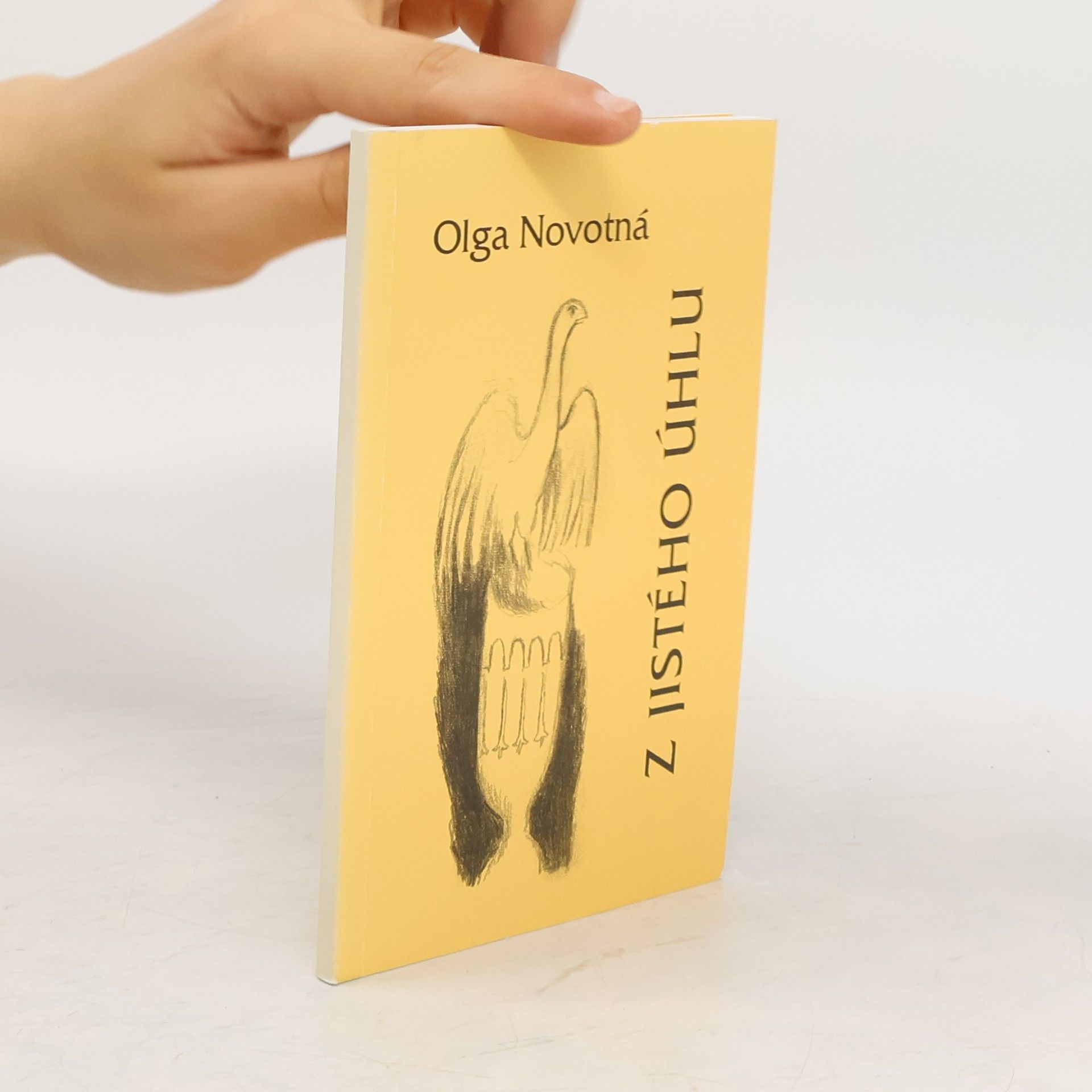 Olga Novotná Z jistého úhlu