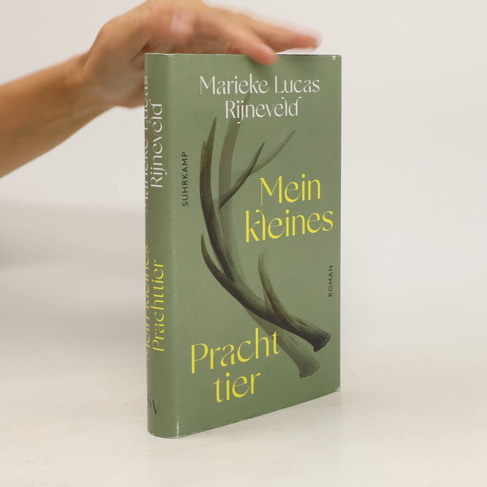 Lucas Rijneveld Mein kleines Prachttier