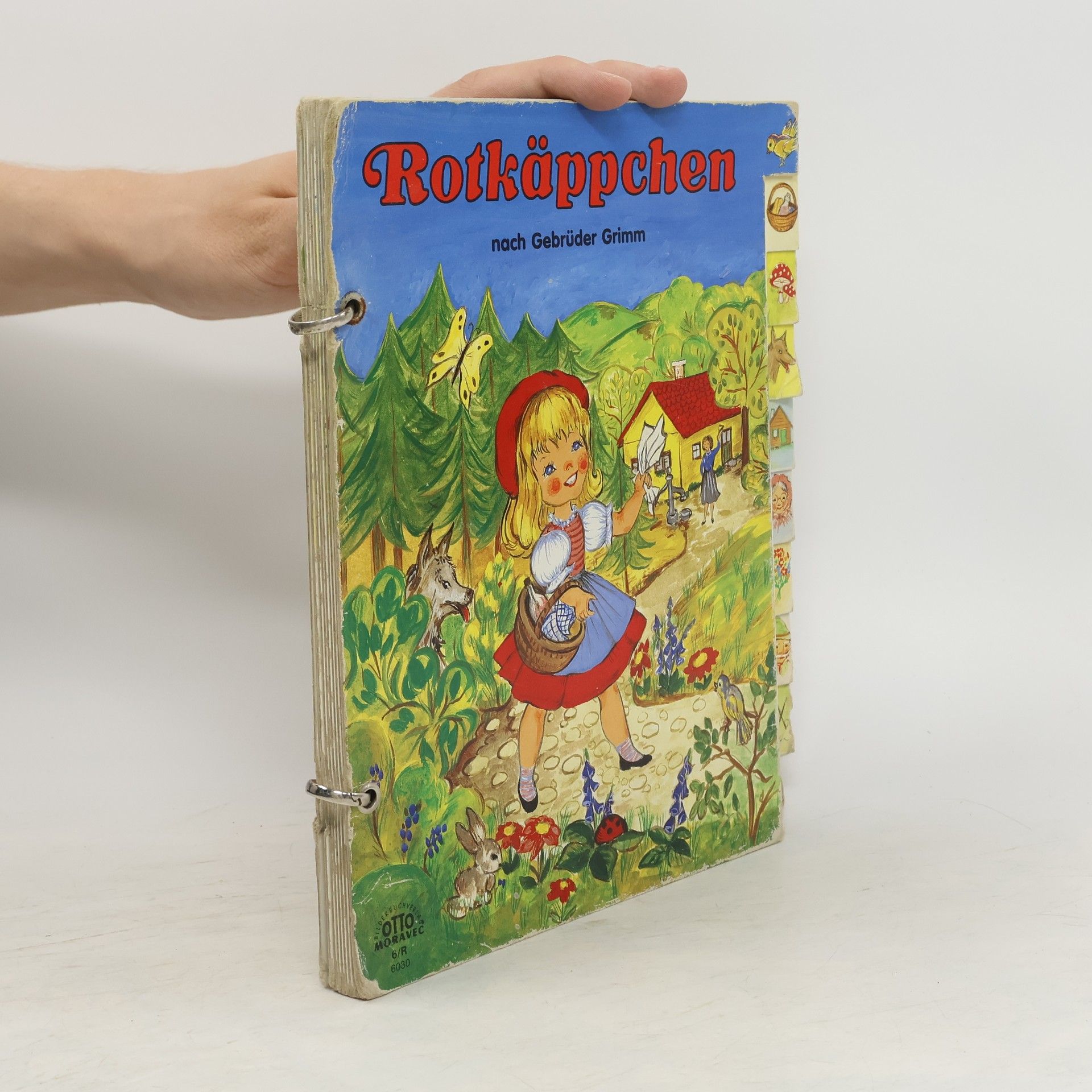 bratři Grimmové Rotkäppchen