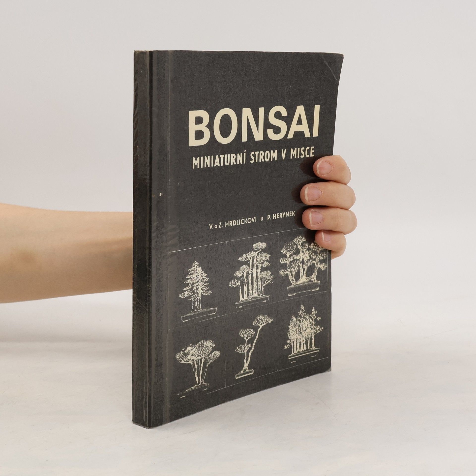 Zdeněk Hrdlička Bonsai. Miniaturní strom v misce