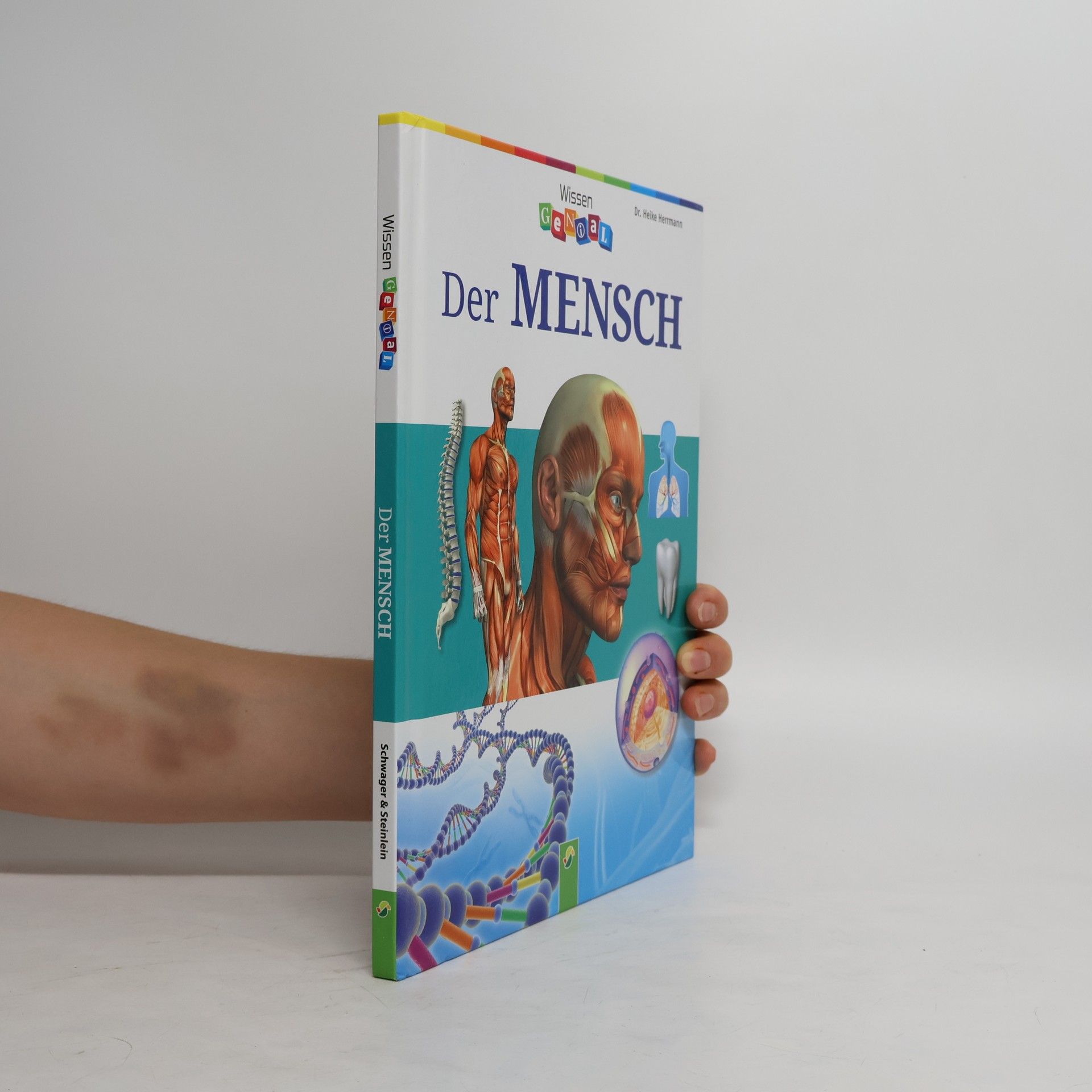 Hermann Heike Der Mensch