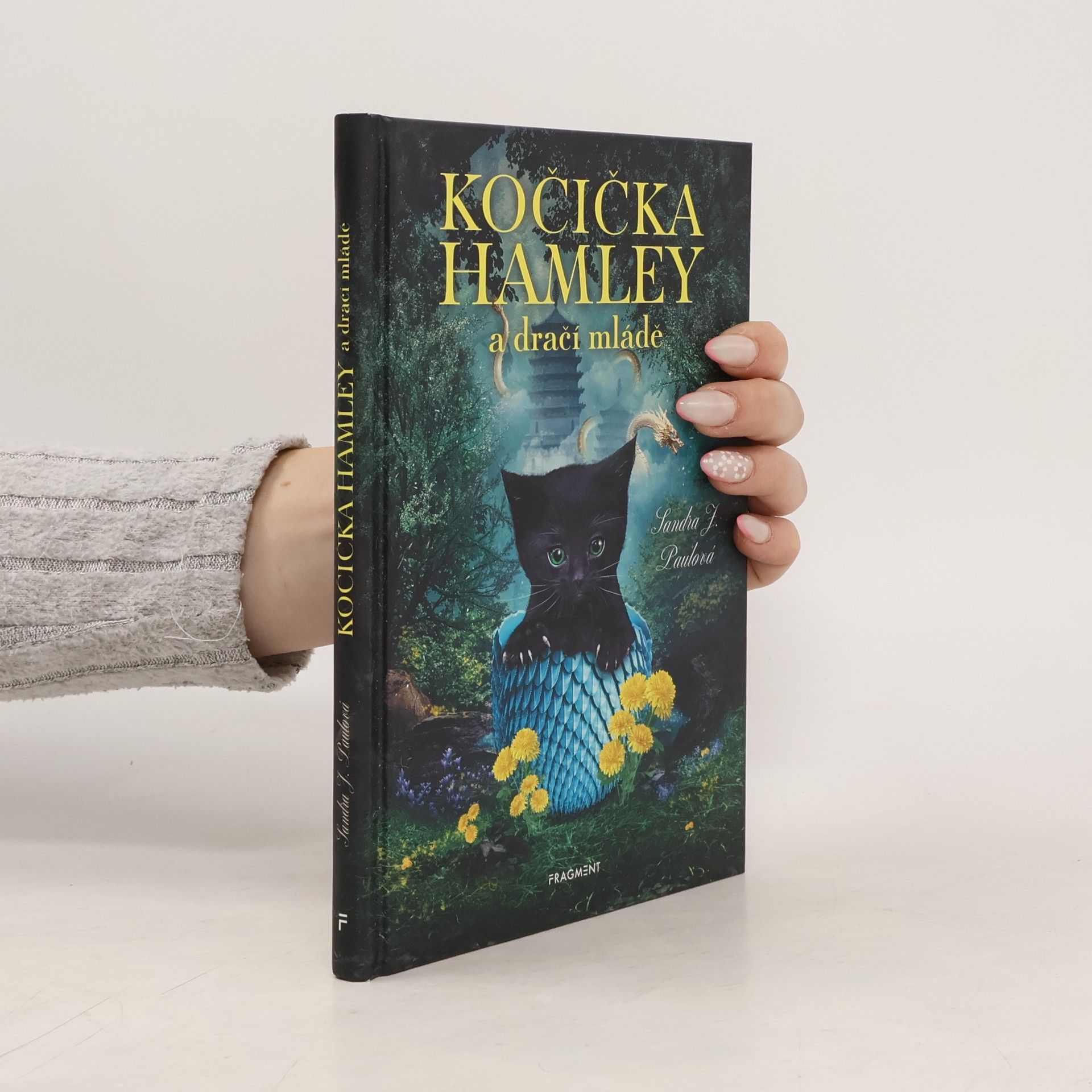 Sandra E Hockenbury Kočička Hamley a dračí mládě