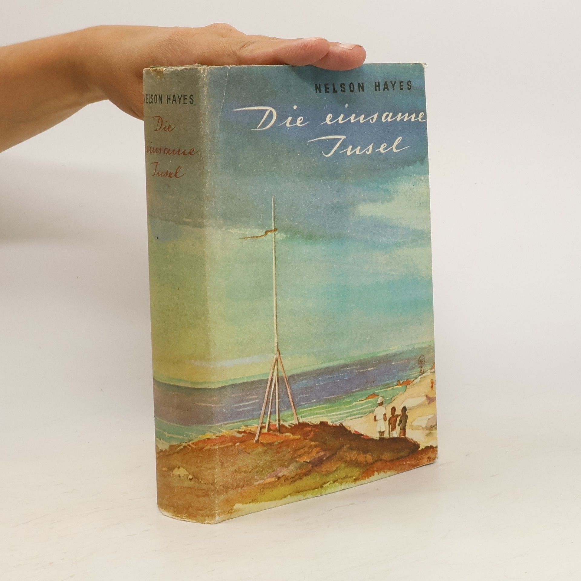 Nelson Hayes Die einsame Insel