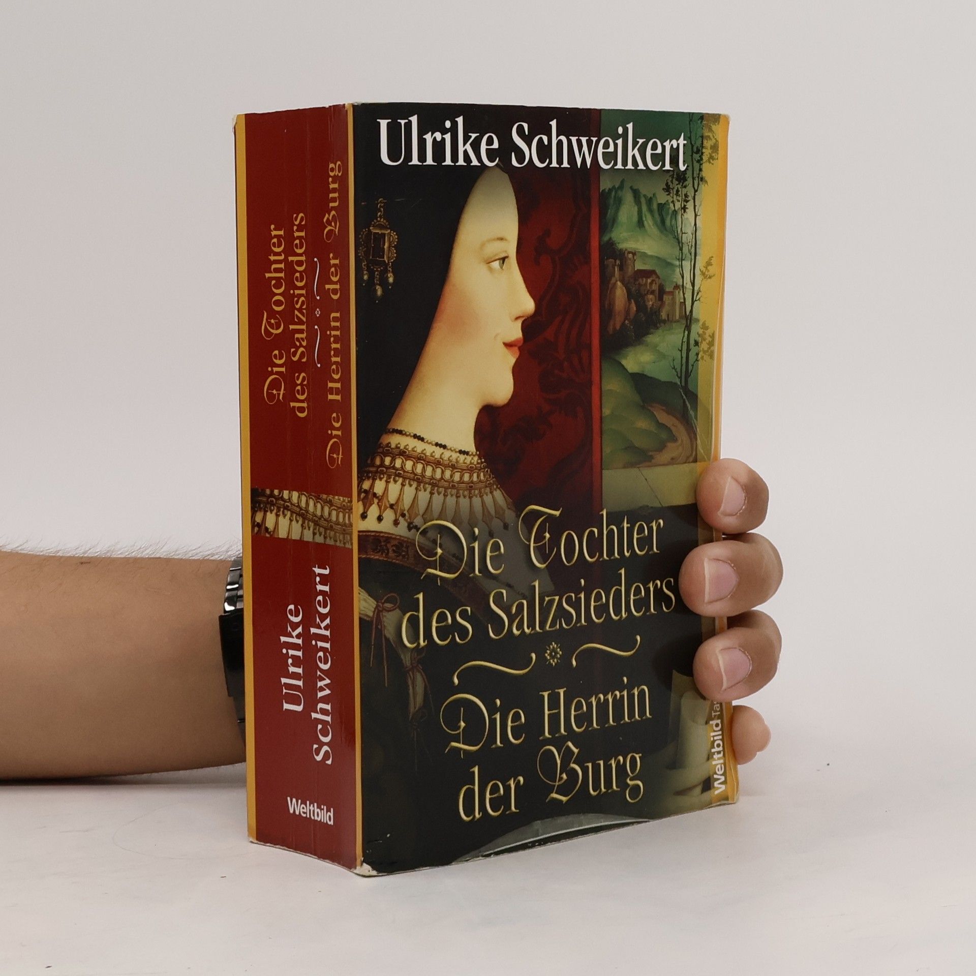 Ulrike Schweikert Die Tochter des Salzsieders