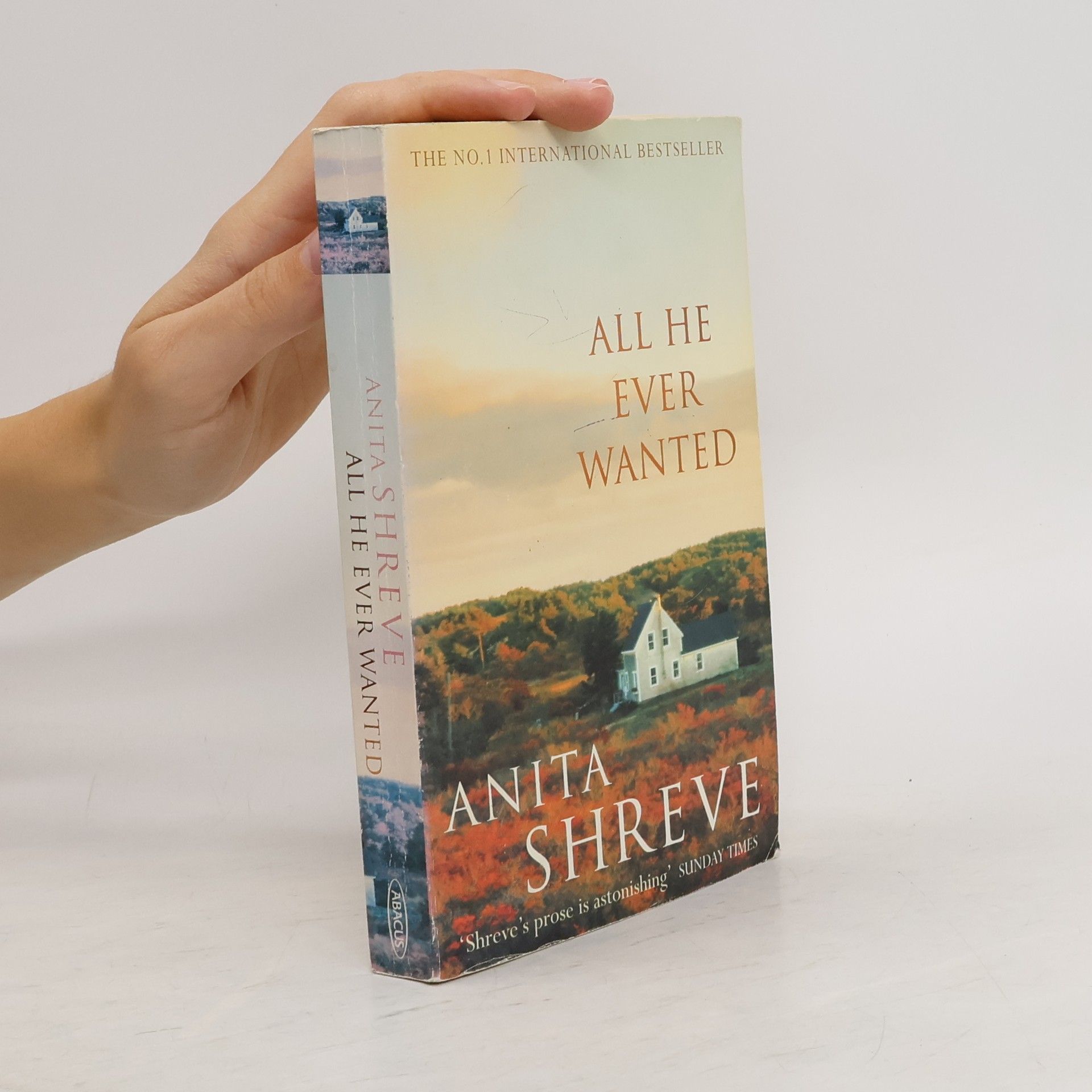Anita Shreve All He Ever Wanted