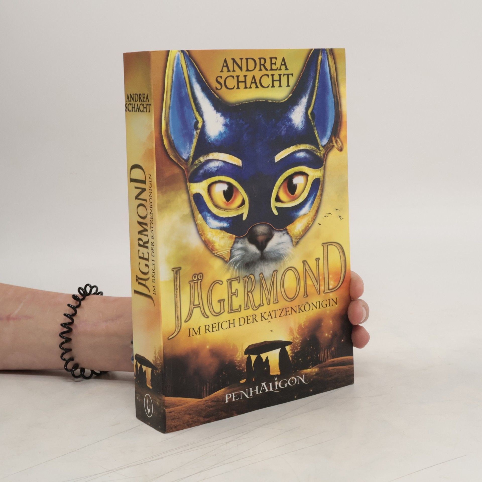 Andrea Schacht Im Reich der Katzenkönigin