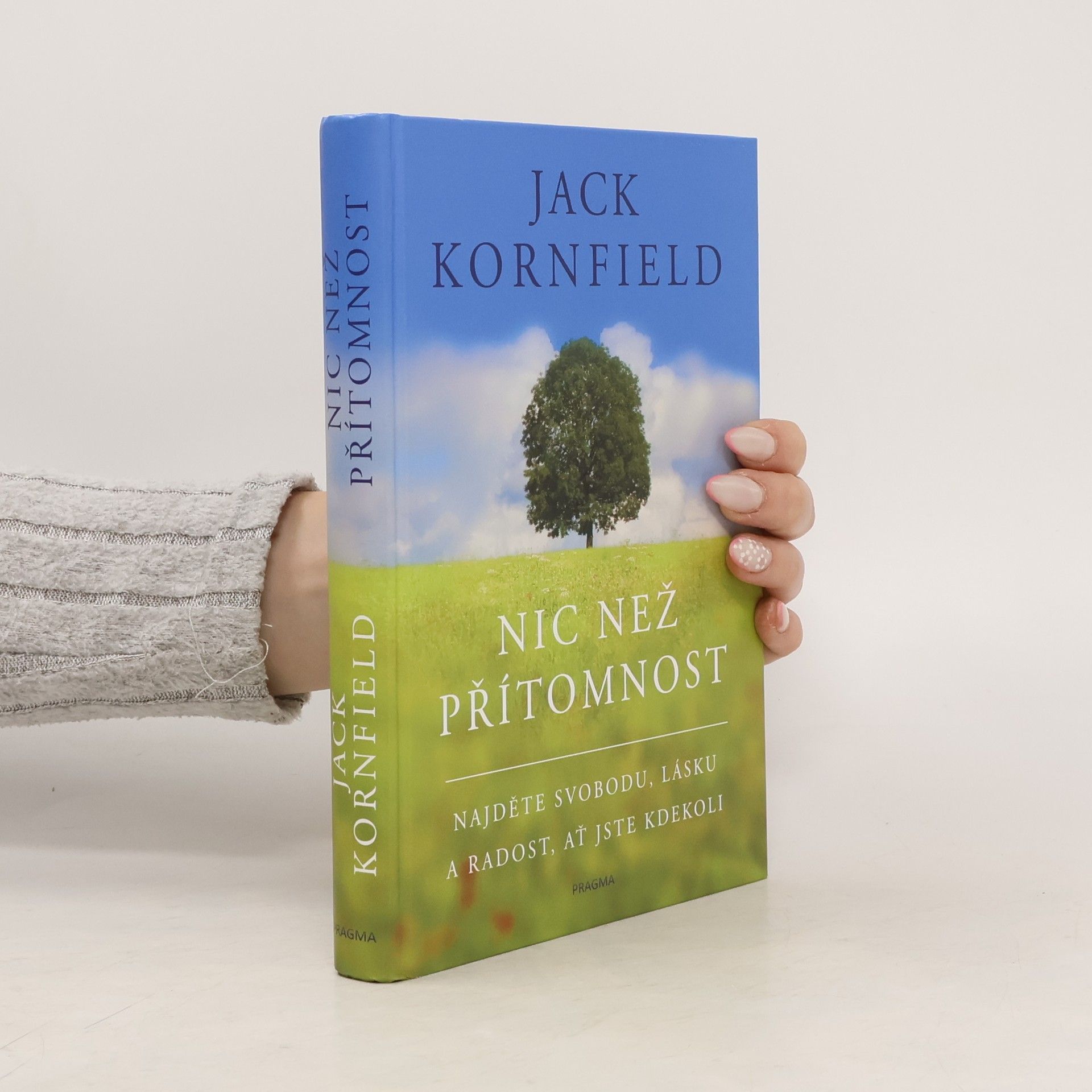 Jack Kornfield Nic než přítomnost