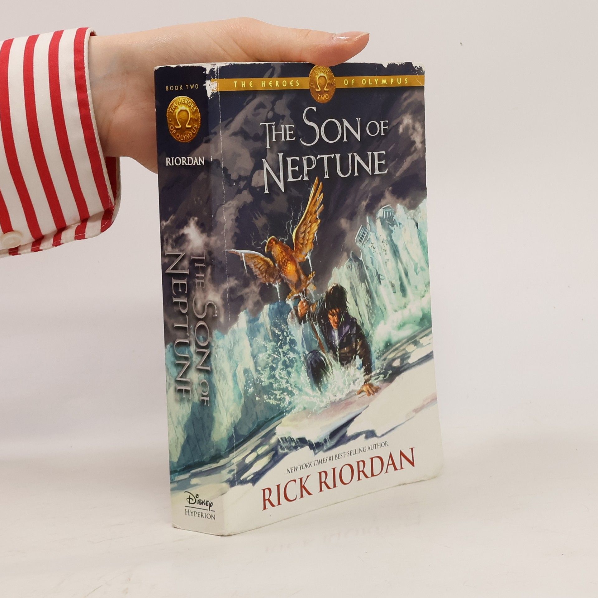 Rick Riordan The Heroes of Olympus: The Son of Neptune