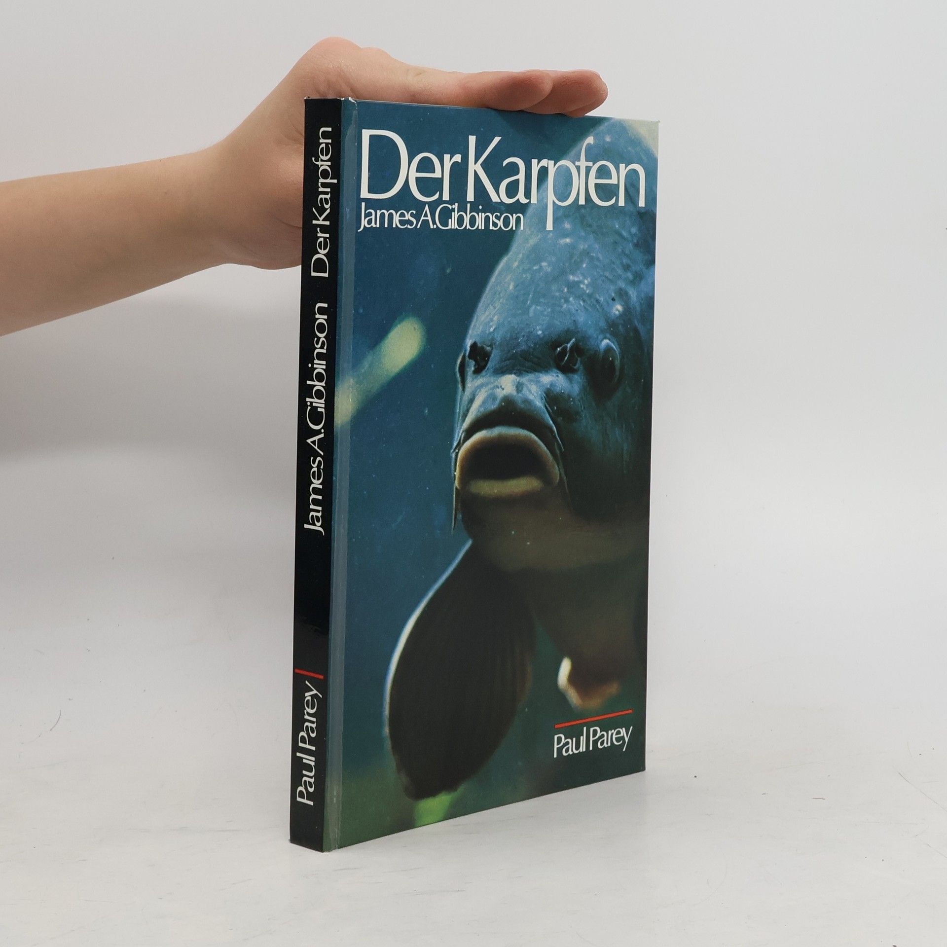 James Arthur Gibbinson Der Karpfen
