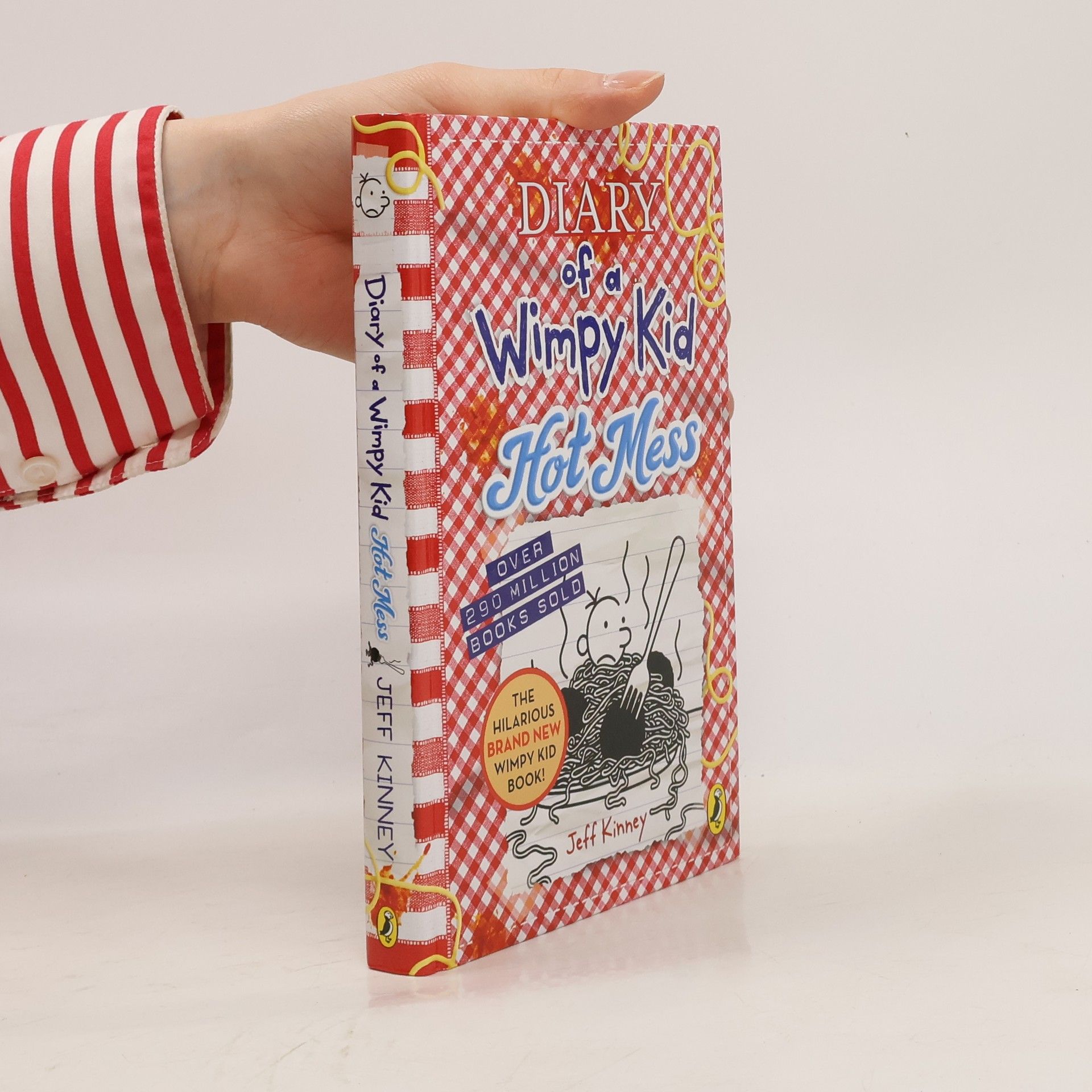 Jeff Kinney Diary of a Wimpy Kid, Hot Mess (Book 19)