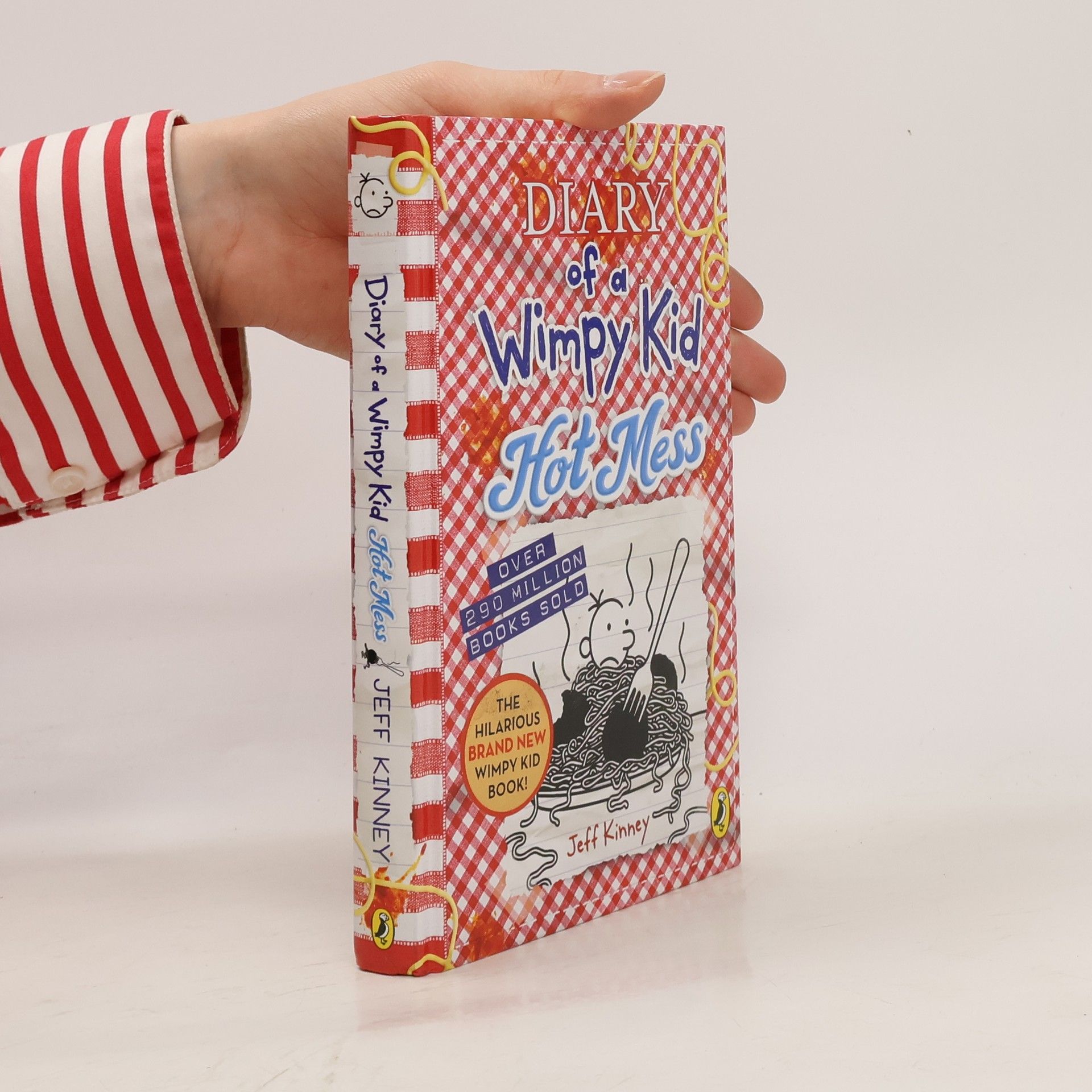 Jeff Kinney Diary of a Wimpy Kid, Hot Mess (Book 19)