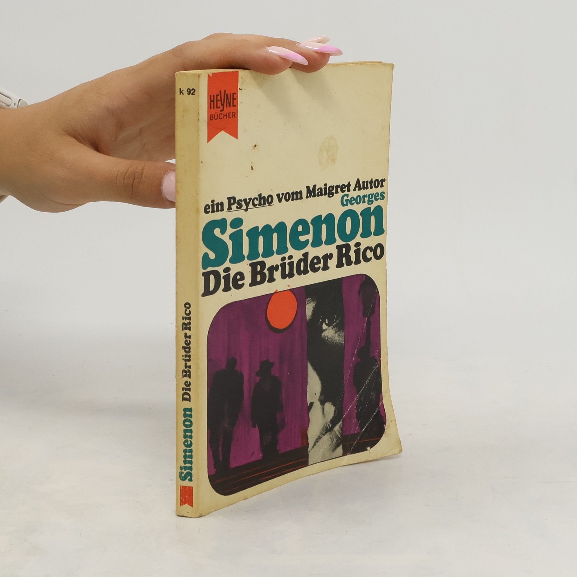 Georges Simenon Die Brüder Rico