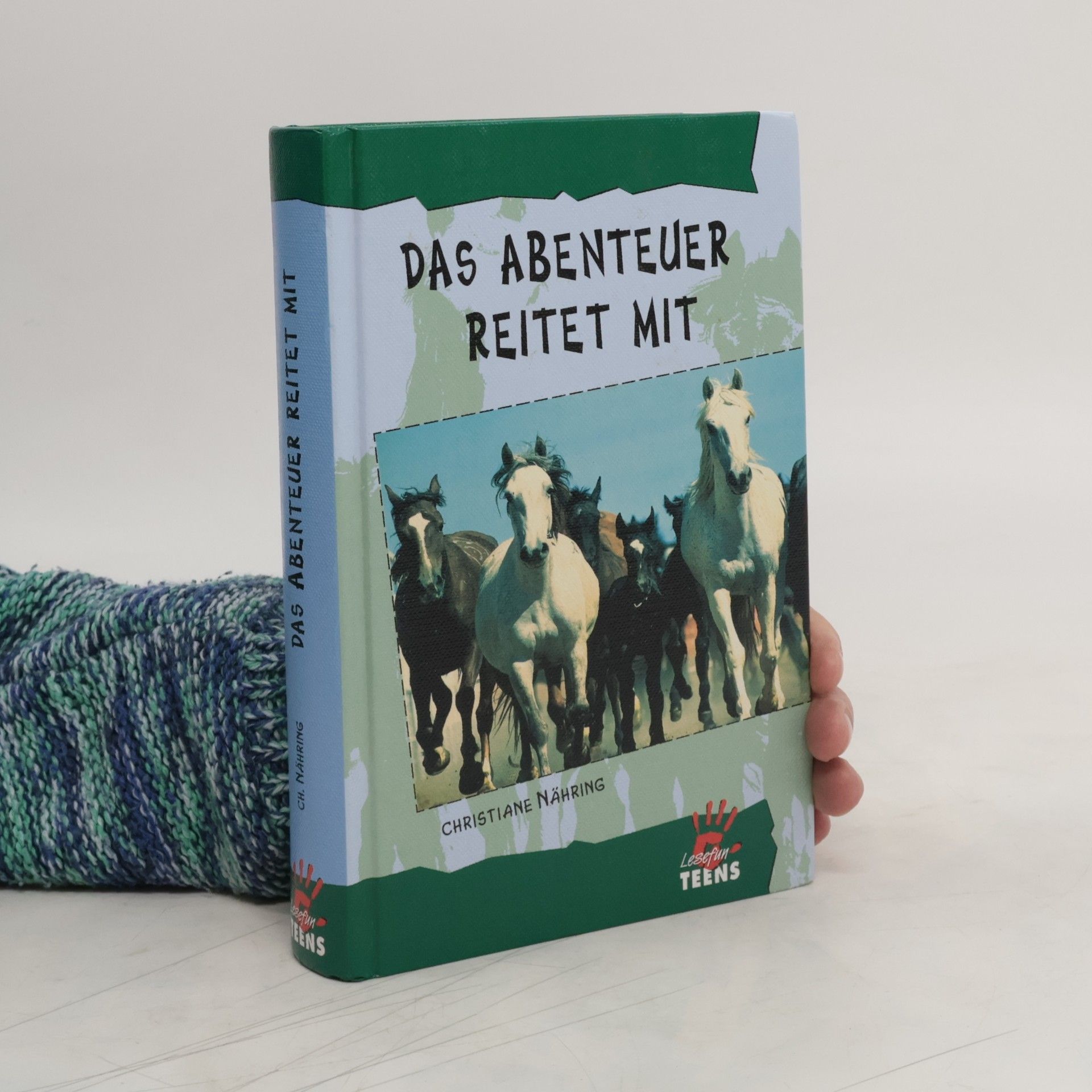 Christiane Nähring Das Abenteuer reitet mit
