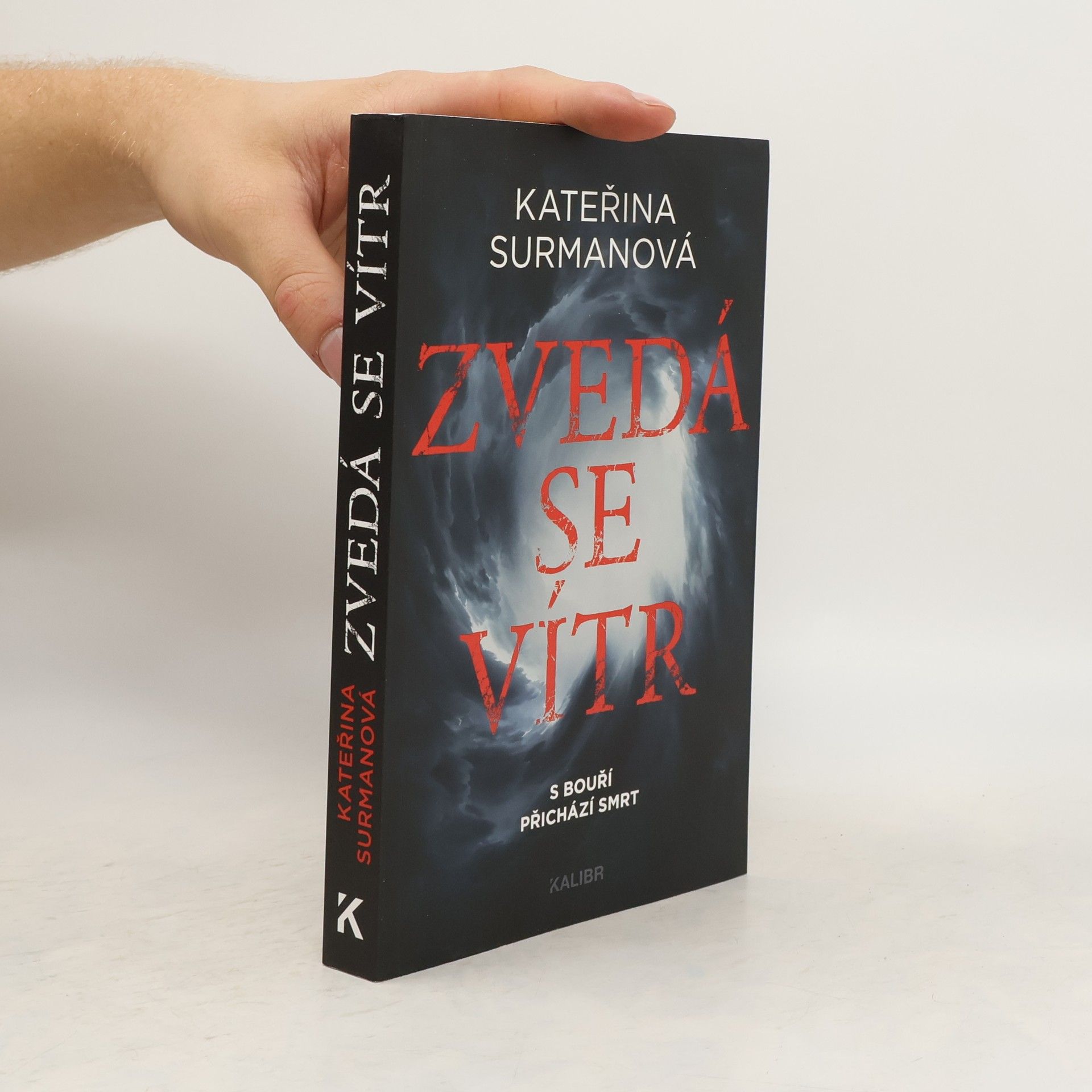 Kateřina Surmanová Zvedá se vítr